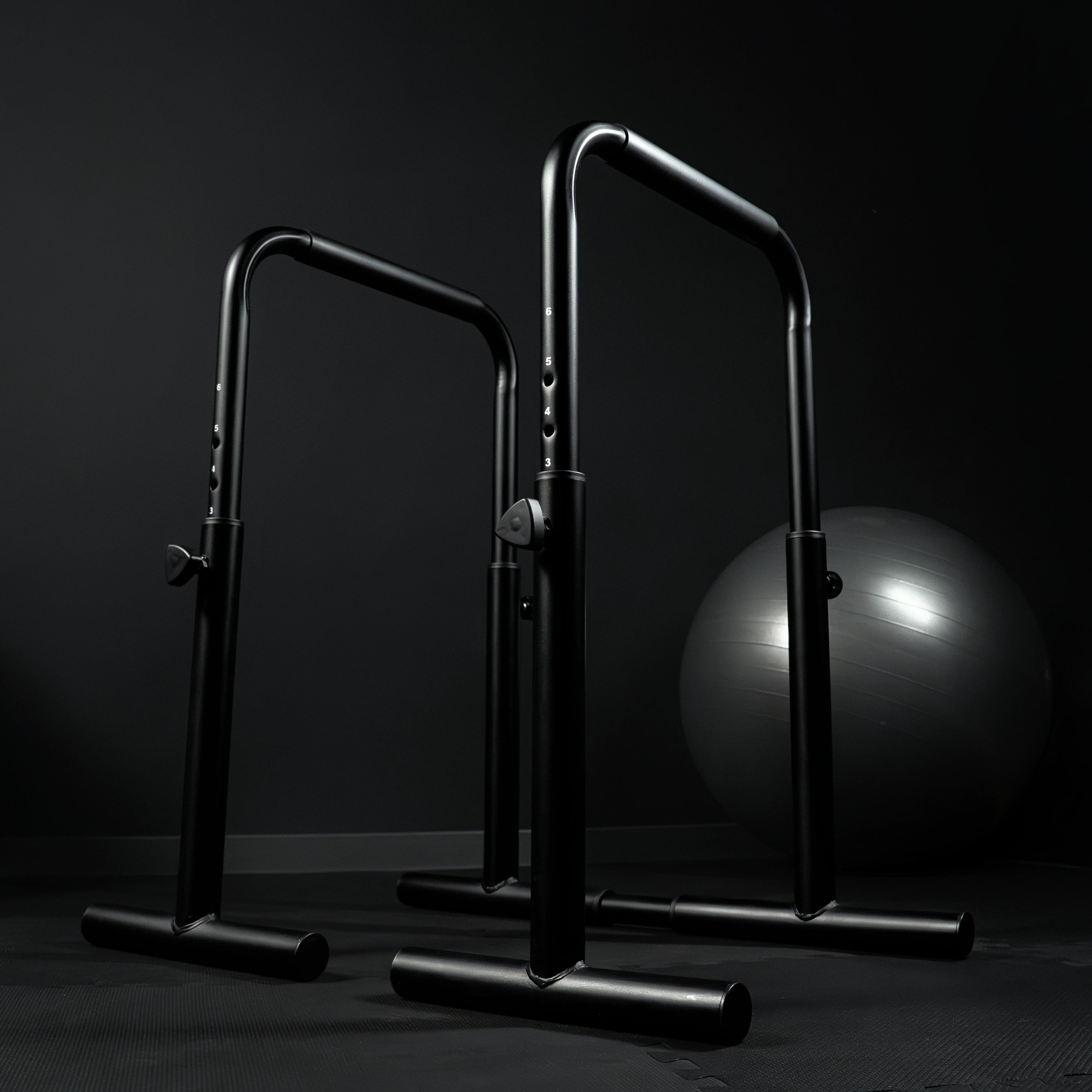 gyronetics-dip-station-barren-h-henverstellbar-80-100-cm-500-kg image 2