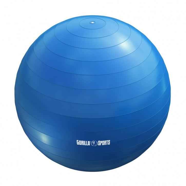 gyronetics-e-series-gymnastikball-65-cm-blau-mit-luftpumpe image 8