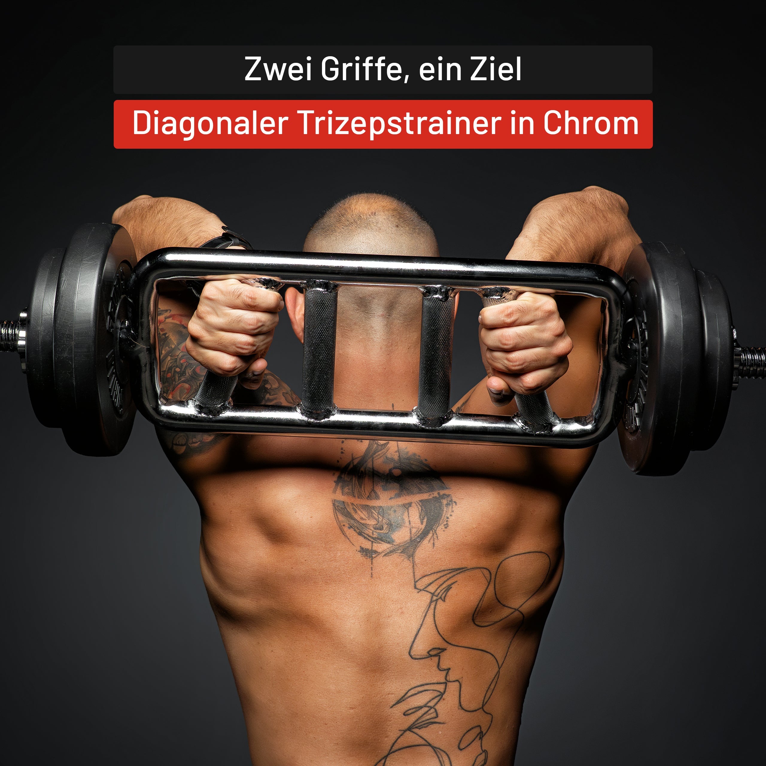 gyronetics-e-series-trizepstrainer-diagonal-sternverschluss image 4