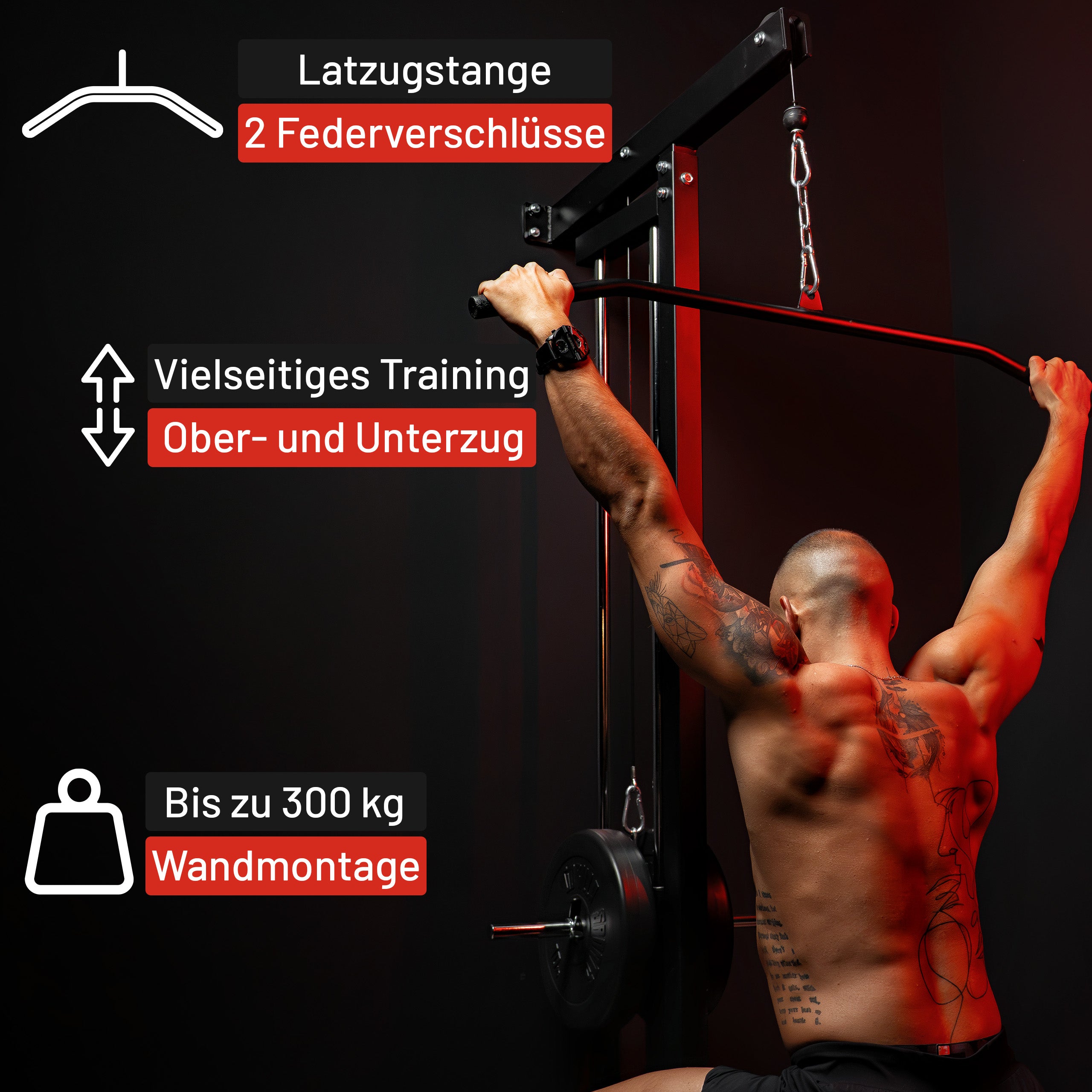 gyronetics-e-series-latzugturm-wand-kabelzug-schwarz-300-kg image 3
