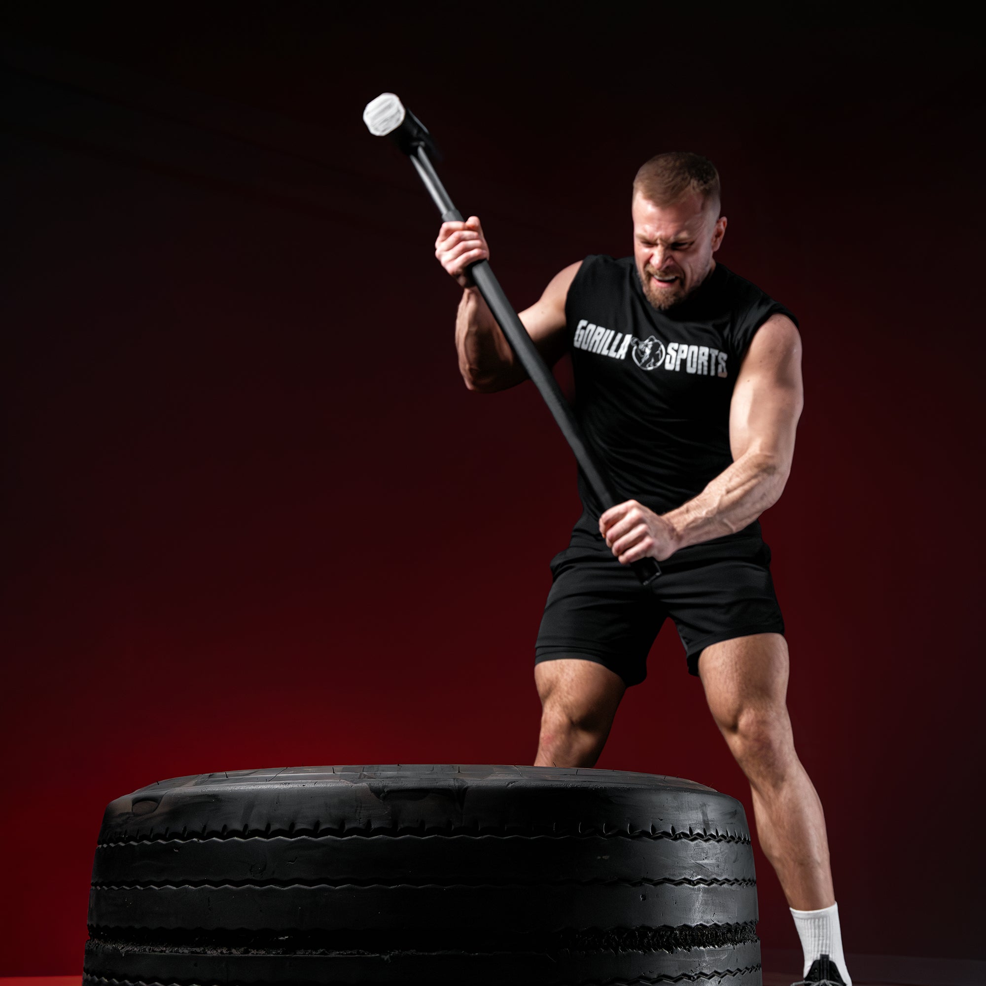 gyronetics-e-series-gym-hammer-stahl-10-kg-pvc image 2