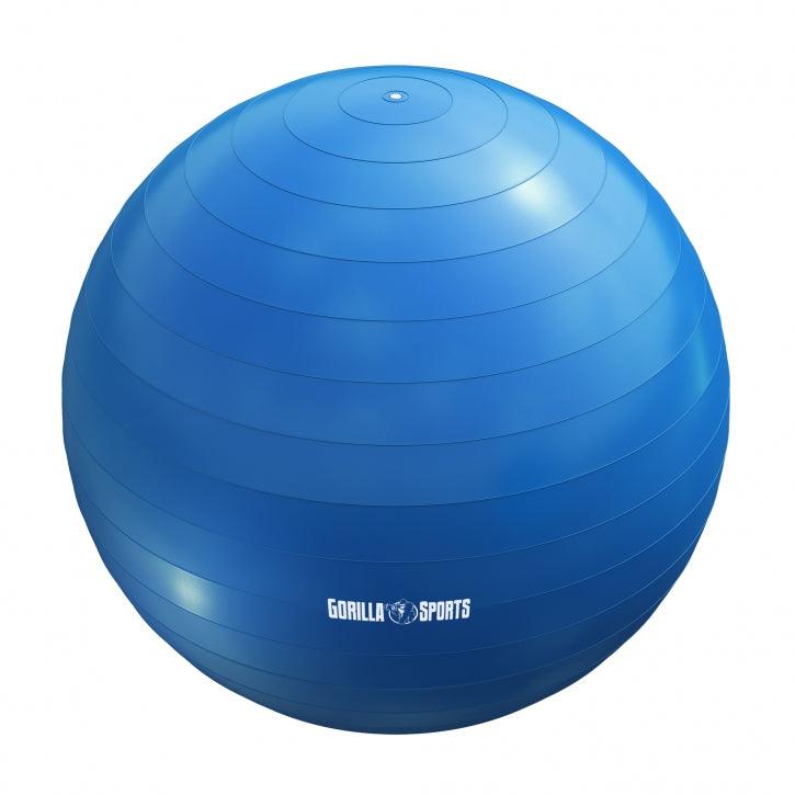 gyronetics-e-series-gymnastikball-65-cm-blau-mit-luftpumpe image 5