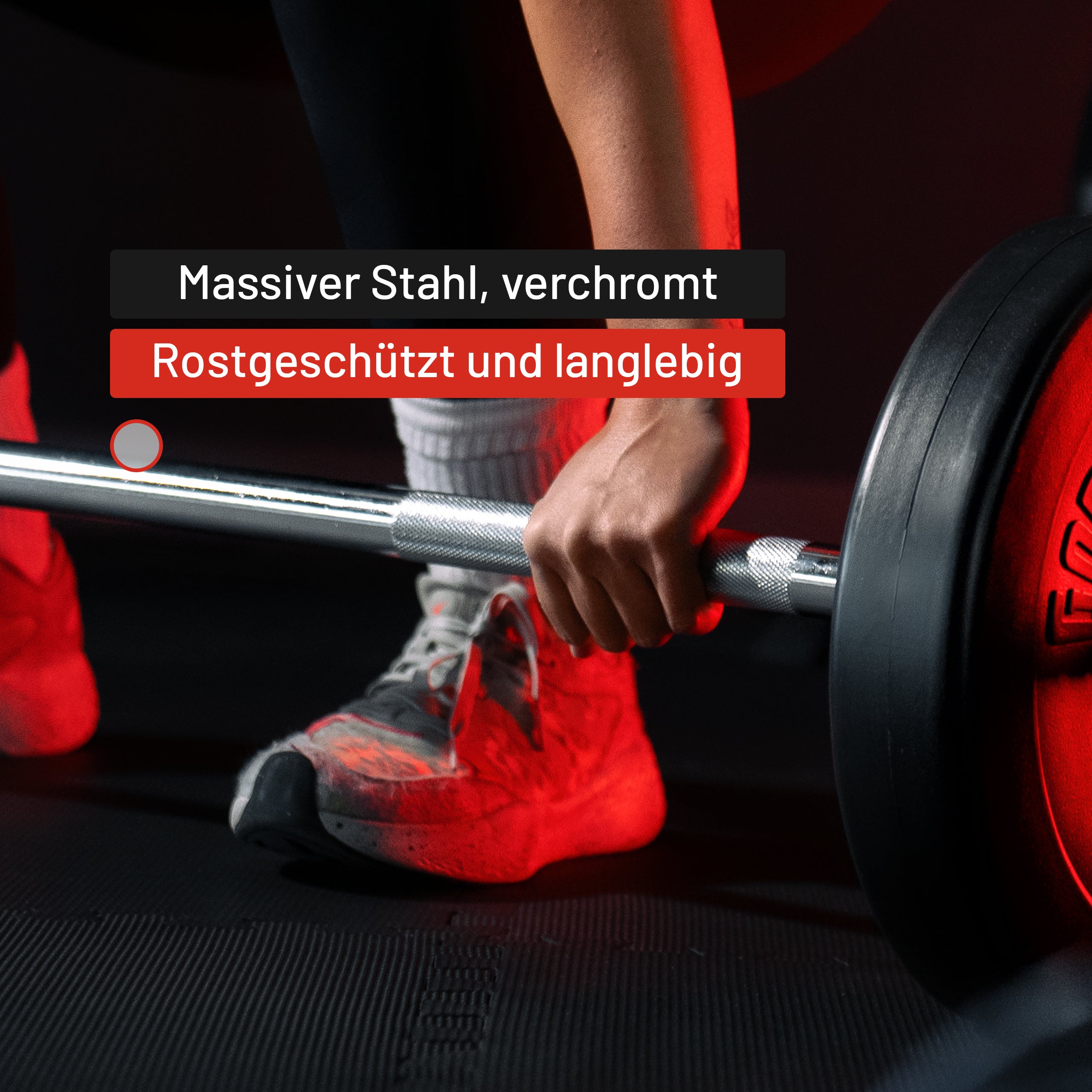 gyronetics-e-series-langhantel-170-cm-silber-sternverschluss image 5