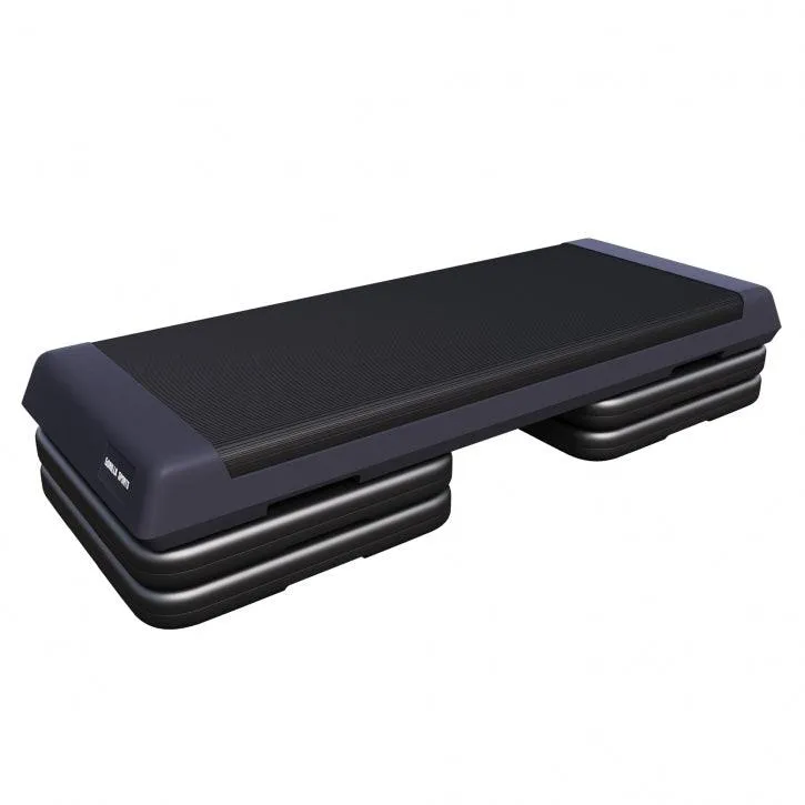 gyronetics-e-series-aerobic-stepper-200-kg-3-h-hen-rutschfest image 1