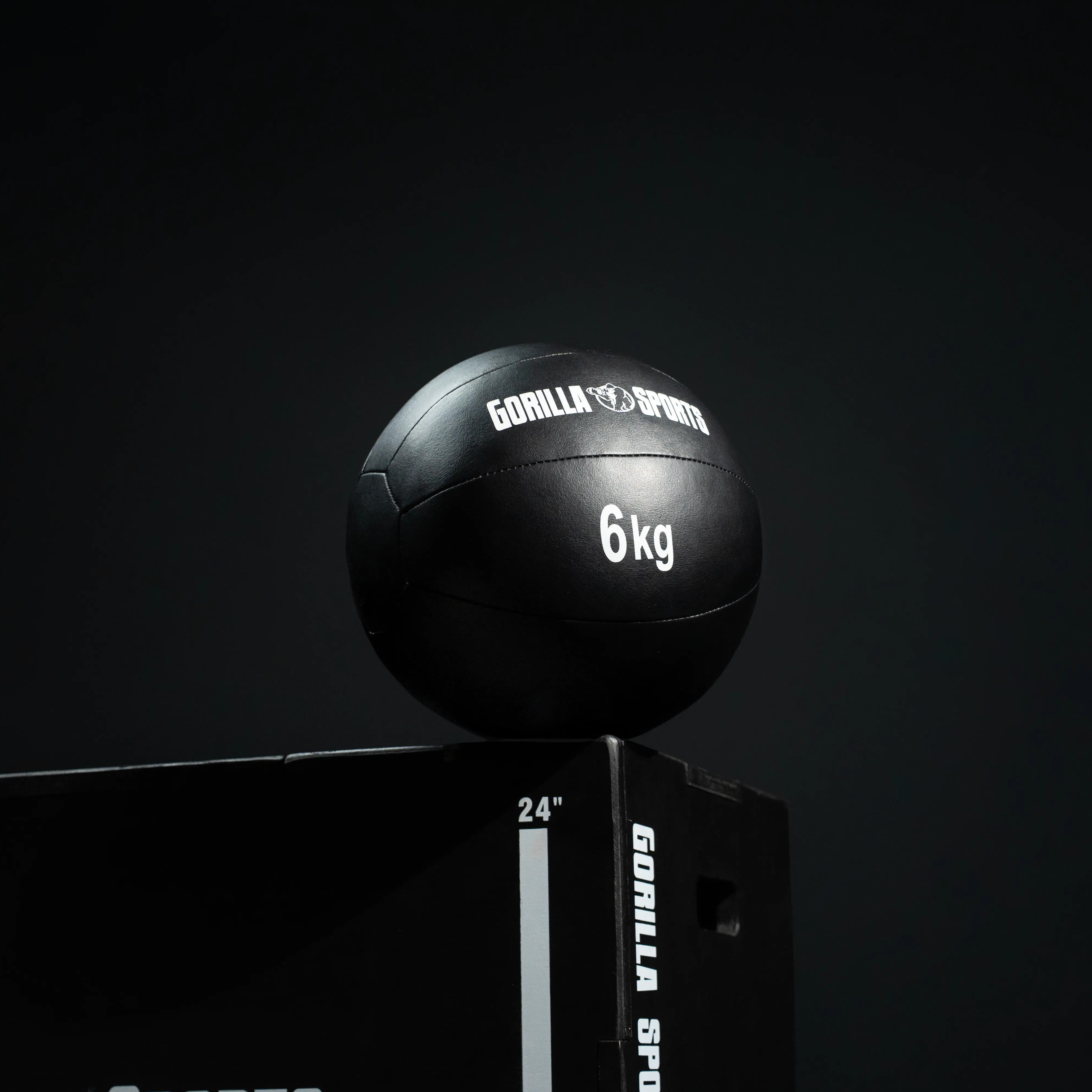 gyronetics-e-series-medizinball-kunstleder-5-kg-schwarz image 3