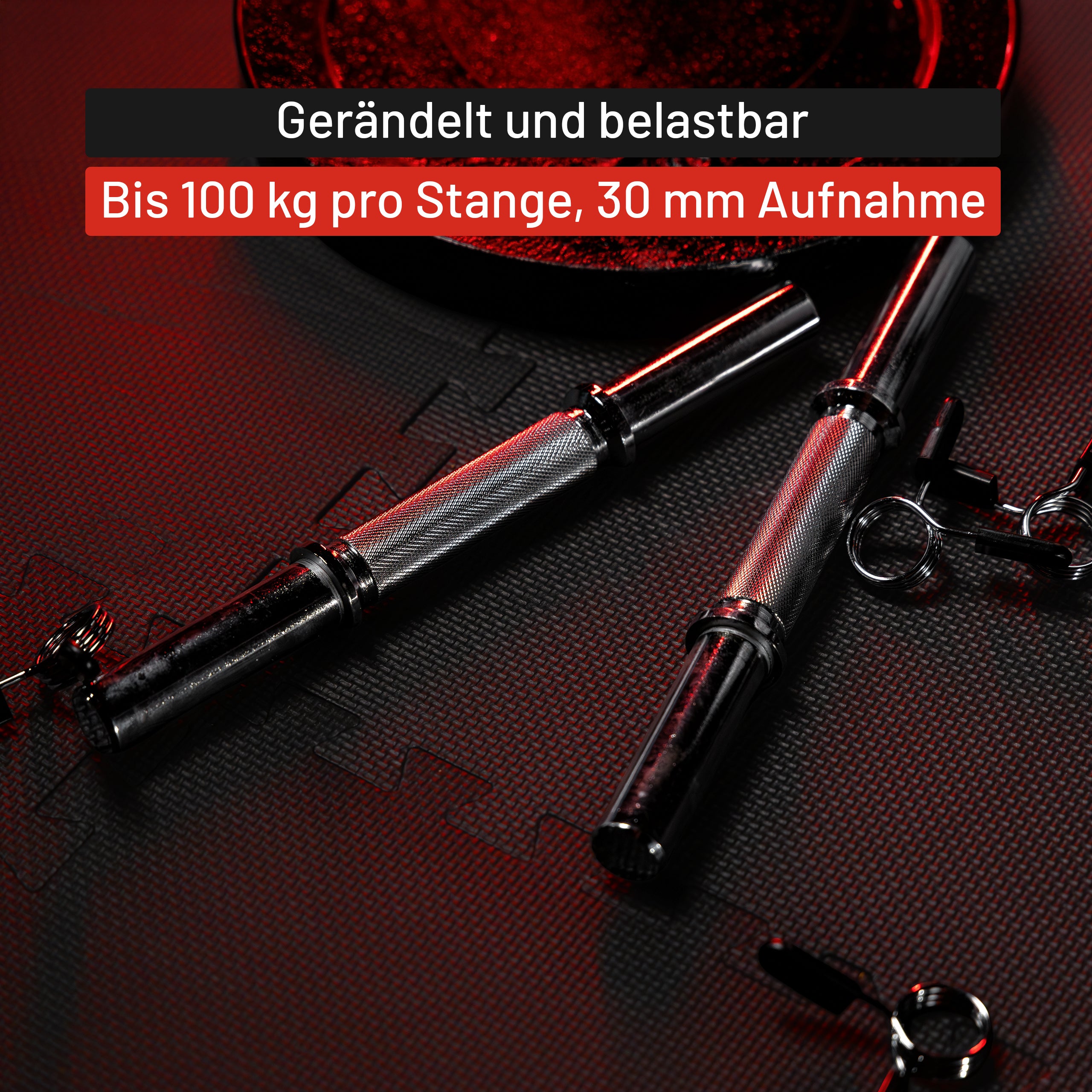 gyronetics-e-series-kurzhantelstangen-35-cm-federverschluss-paar image 5