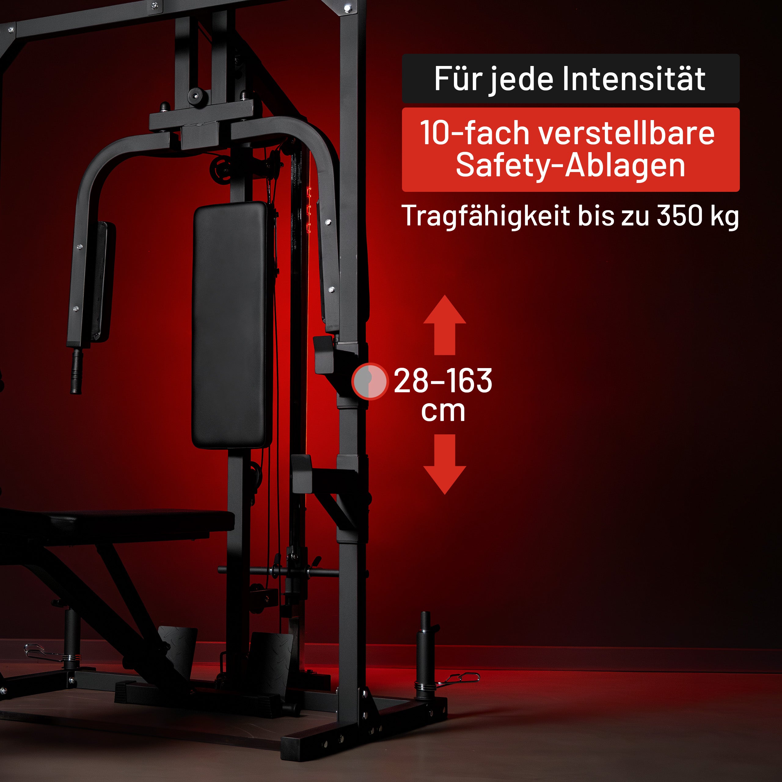 gyronetics-e-series-kraftstation-home-gym-fitnessstation-hantelbank image 5