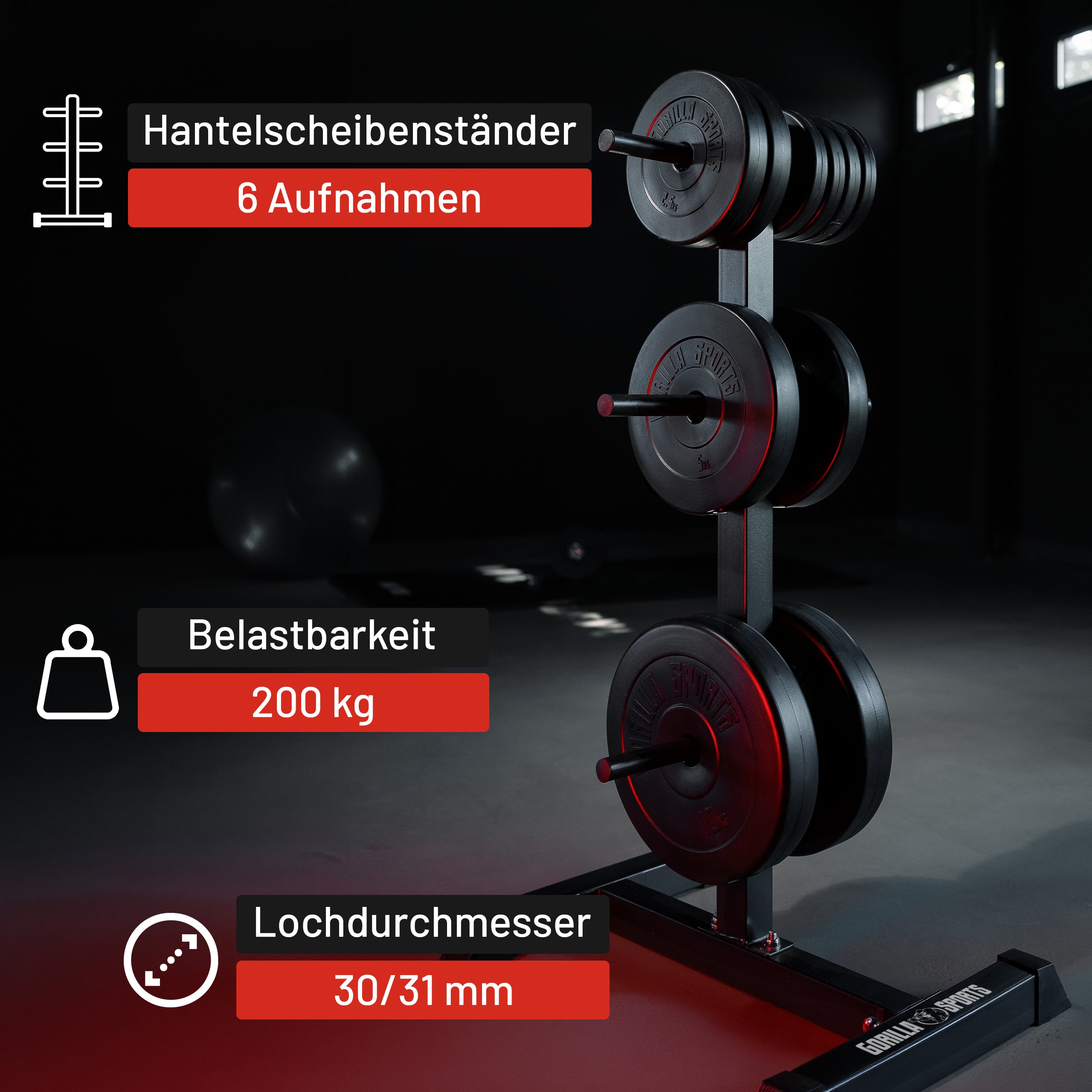 gyronetics-e-series-hantelscheibenst-nder-schwarz-200-kg image 7