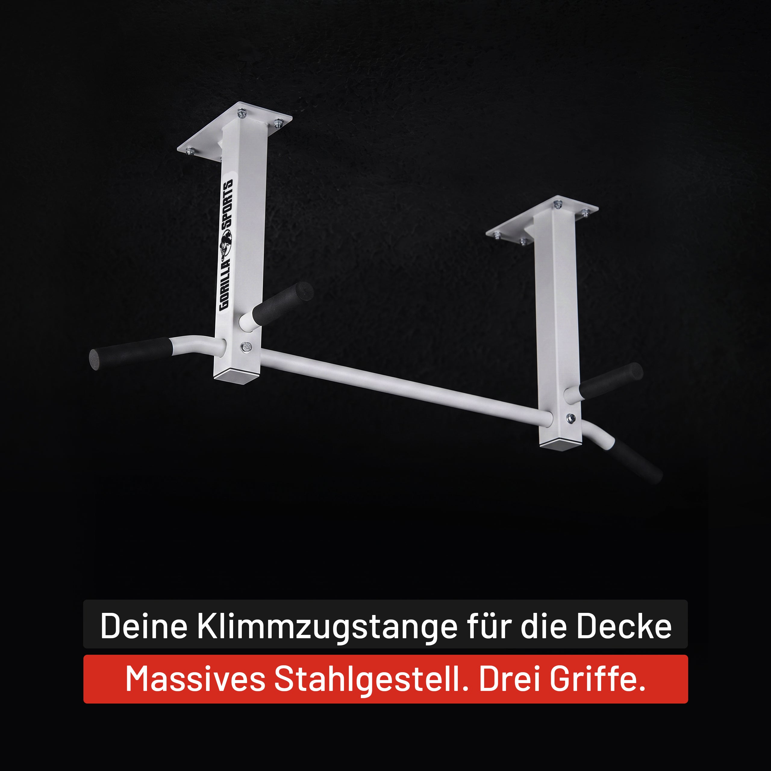 gyronetics-e-series-klimmzugstange-decke-schwarz-stahl-350-kg image 8