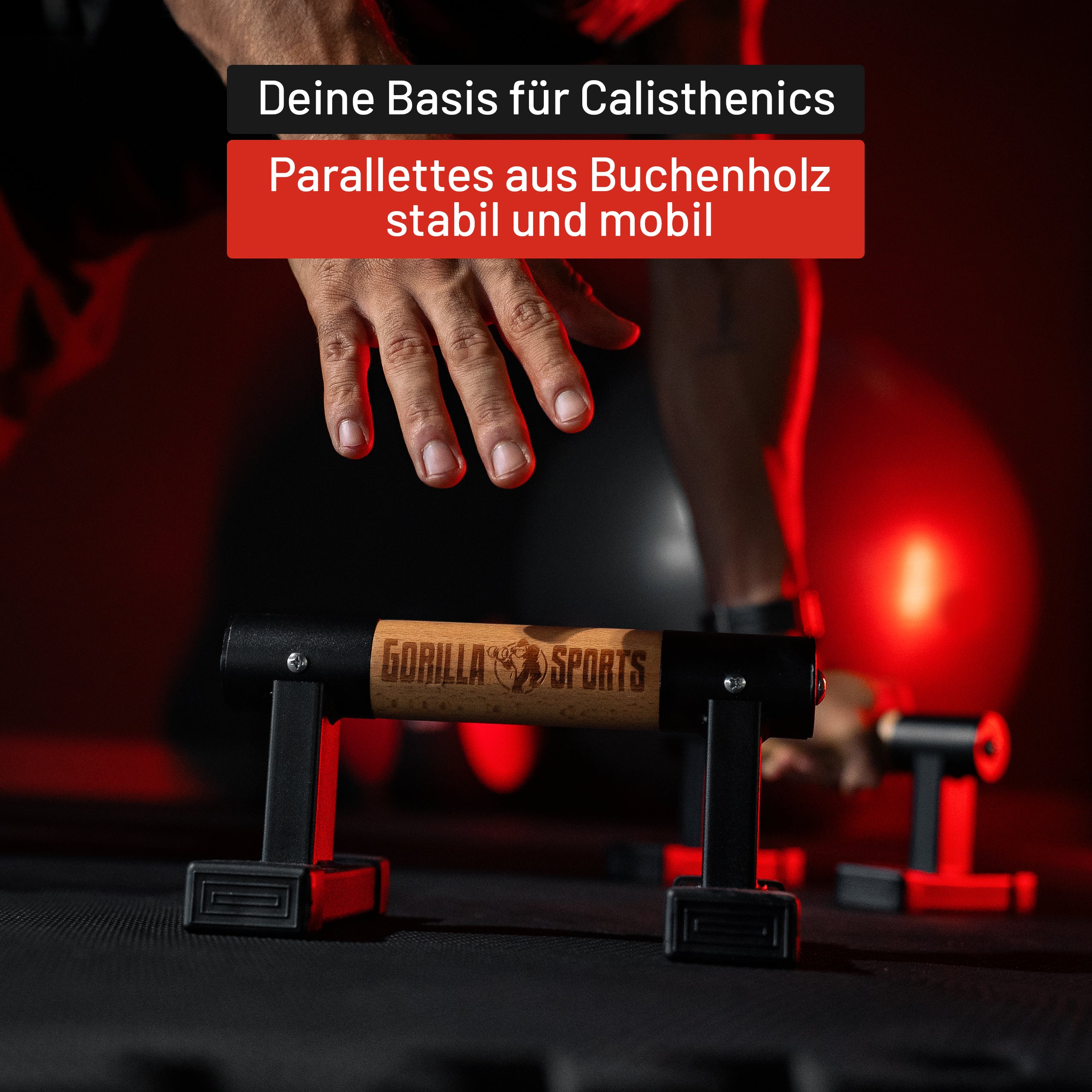 gorilla-sports-e-series-liegest-tzgriffe-2er-set-buchenholz image 4