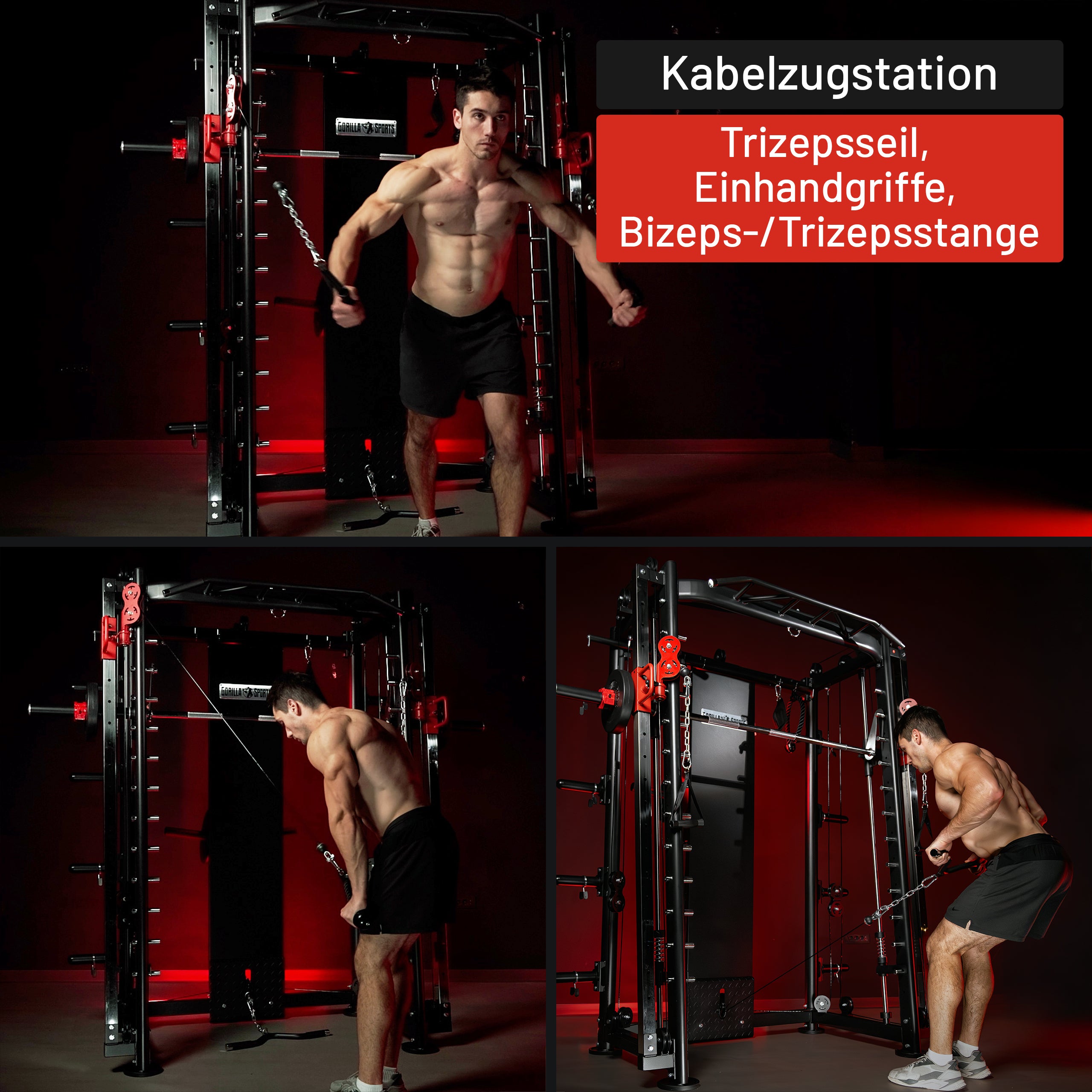gyronetics-dip-station-smith-machine-kraftstation-mit-kabelzug image 6