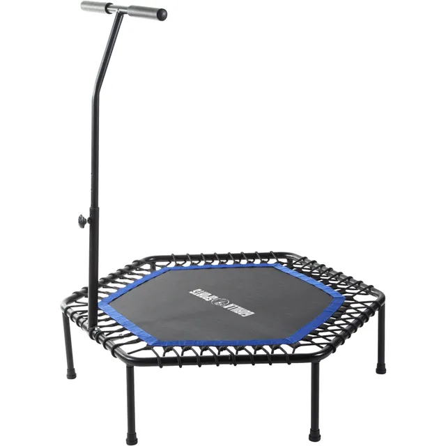gyronetics-trampolin-fitness-trampolin-mit-haltestange-100-kg image 1