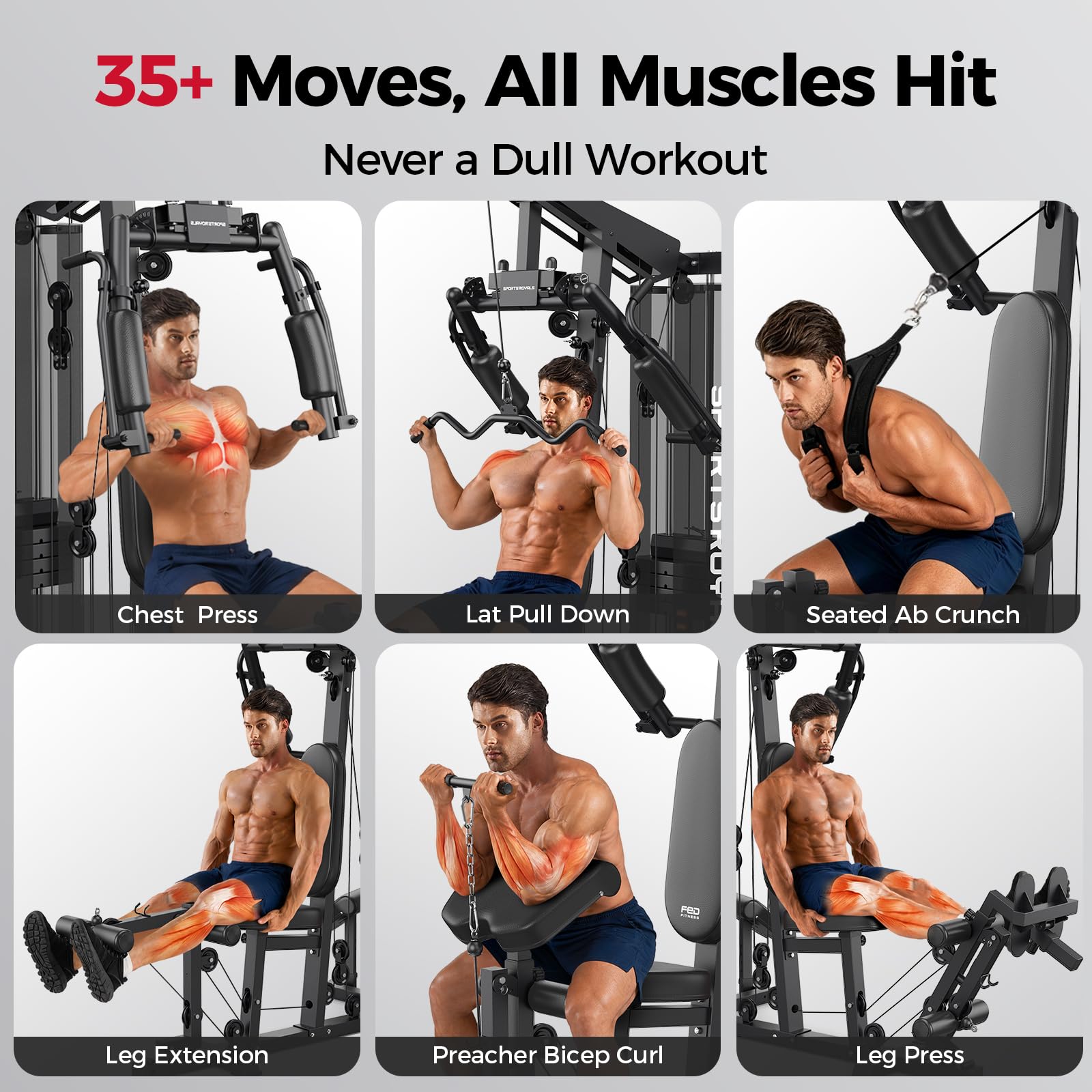 sportsroyals-home-gyms-workout-station-beinpresse-154-kg image 4