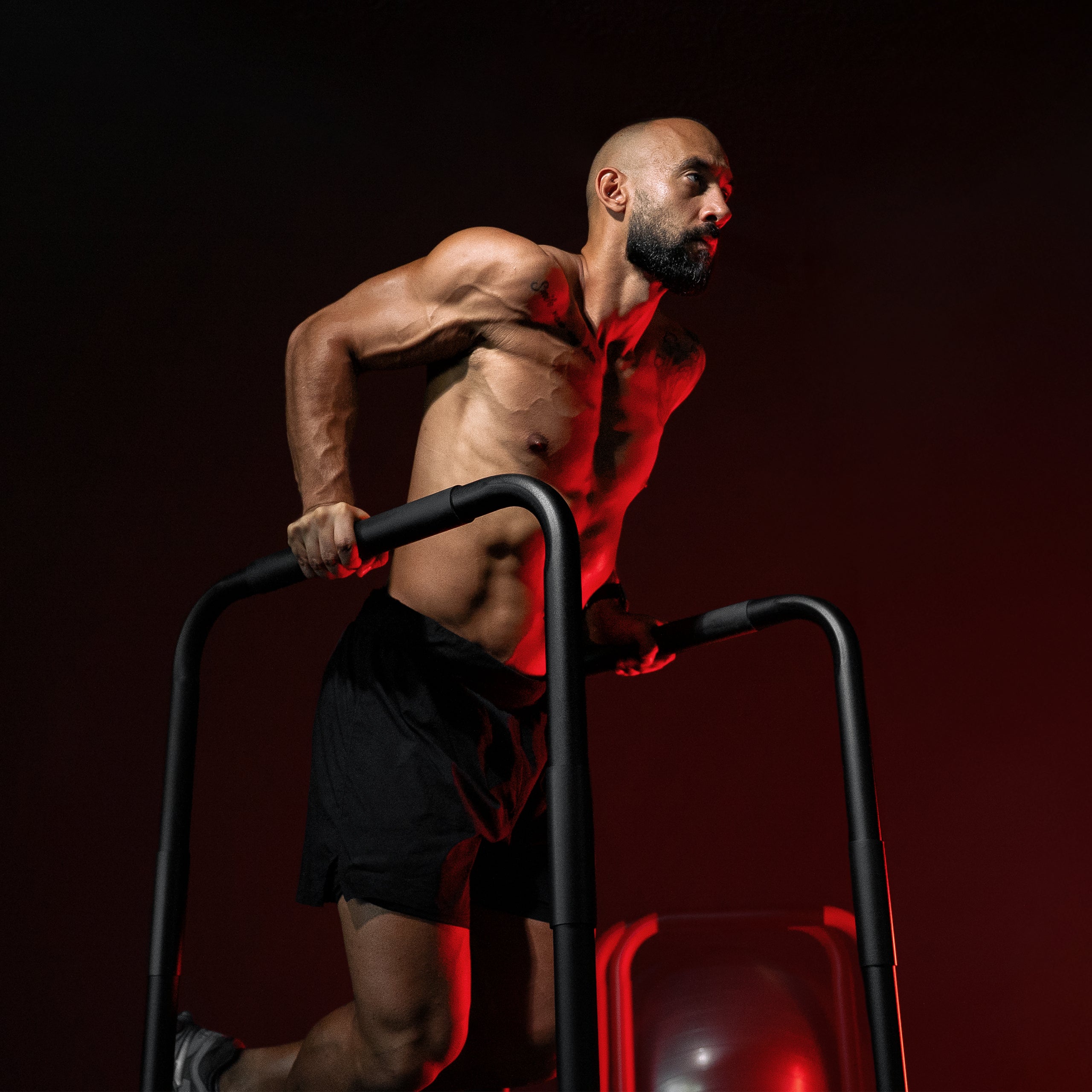 gyronetics-dip-station-push-up-barren-schwarz-200-kg image 2