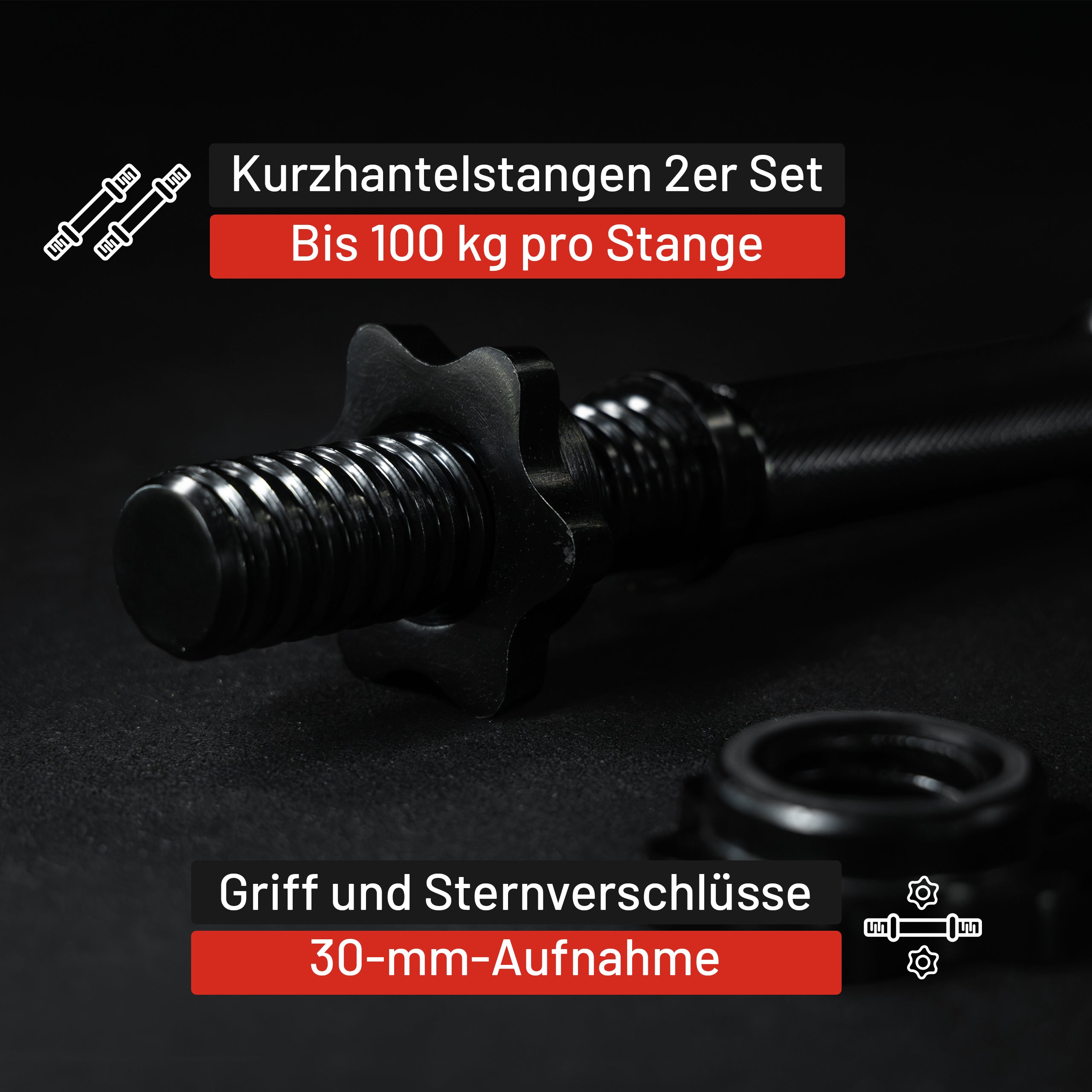 gyronetics-e-series-kurzhantel-2er-set-35-cm-silber-sternverschluss image 6