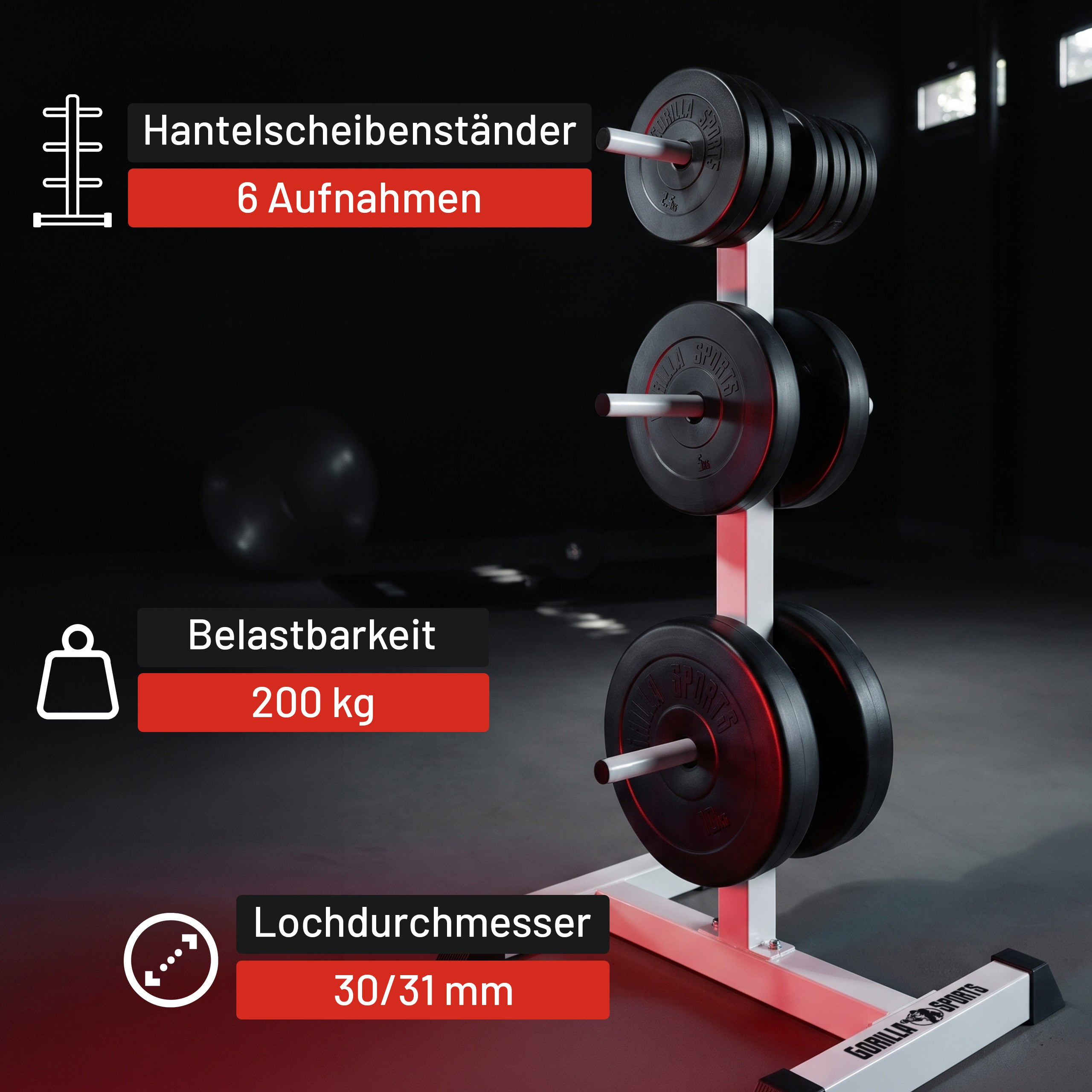 gyronetics-e-series-hantelscheibenst-nder-schwarz-200-kg image 6