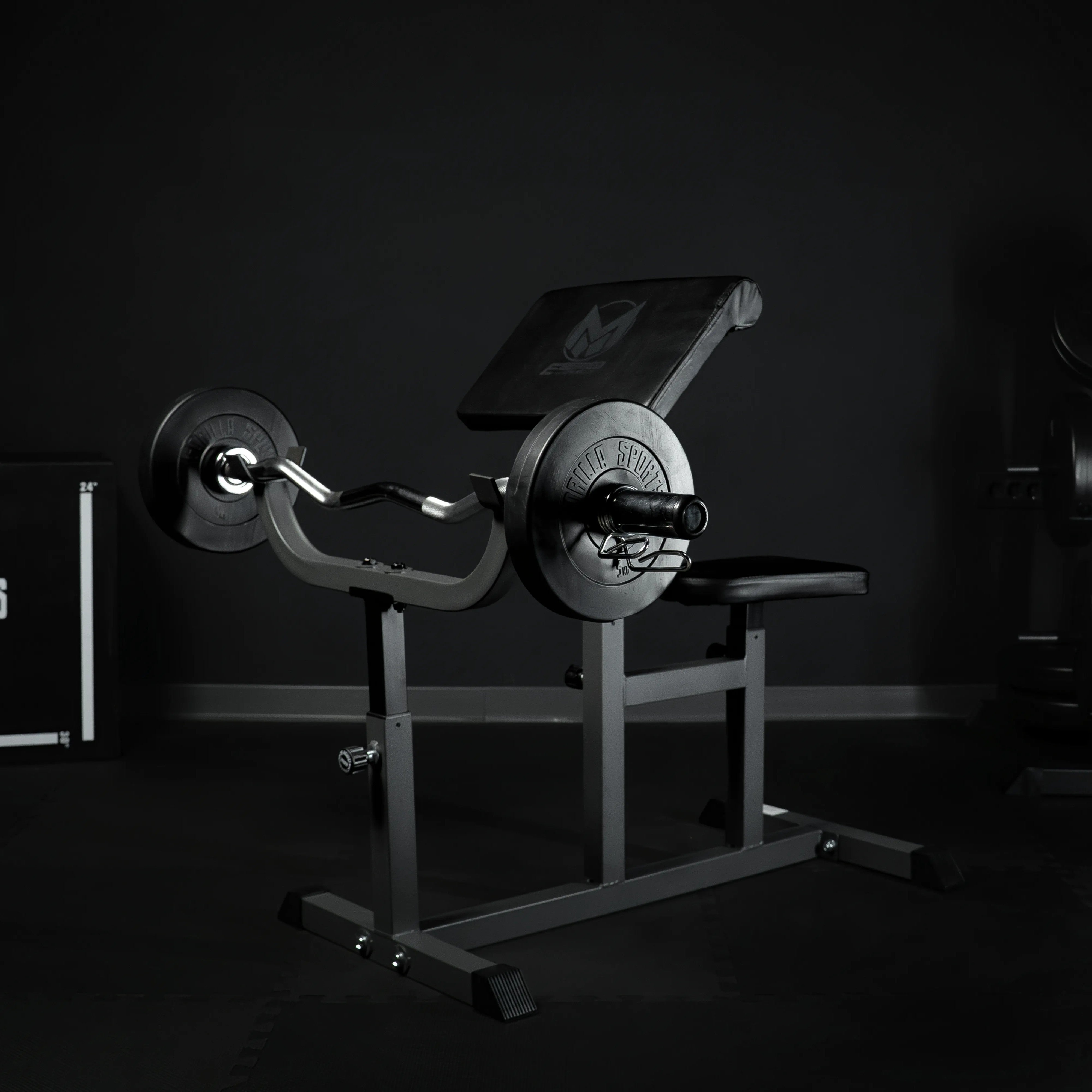 gyronetics-e-series-curlbank-verstellbar-scottbank-bizepstrainer image 2