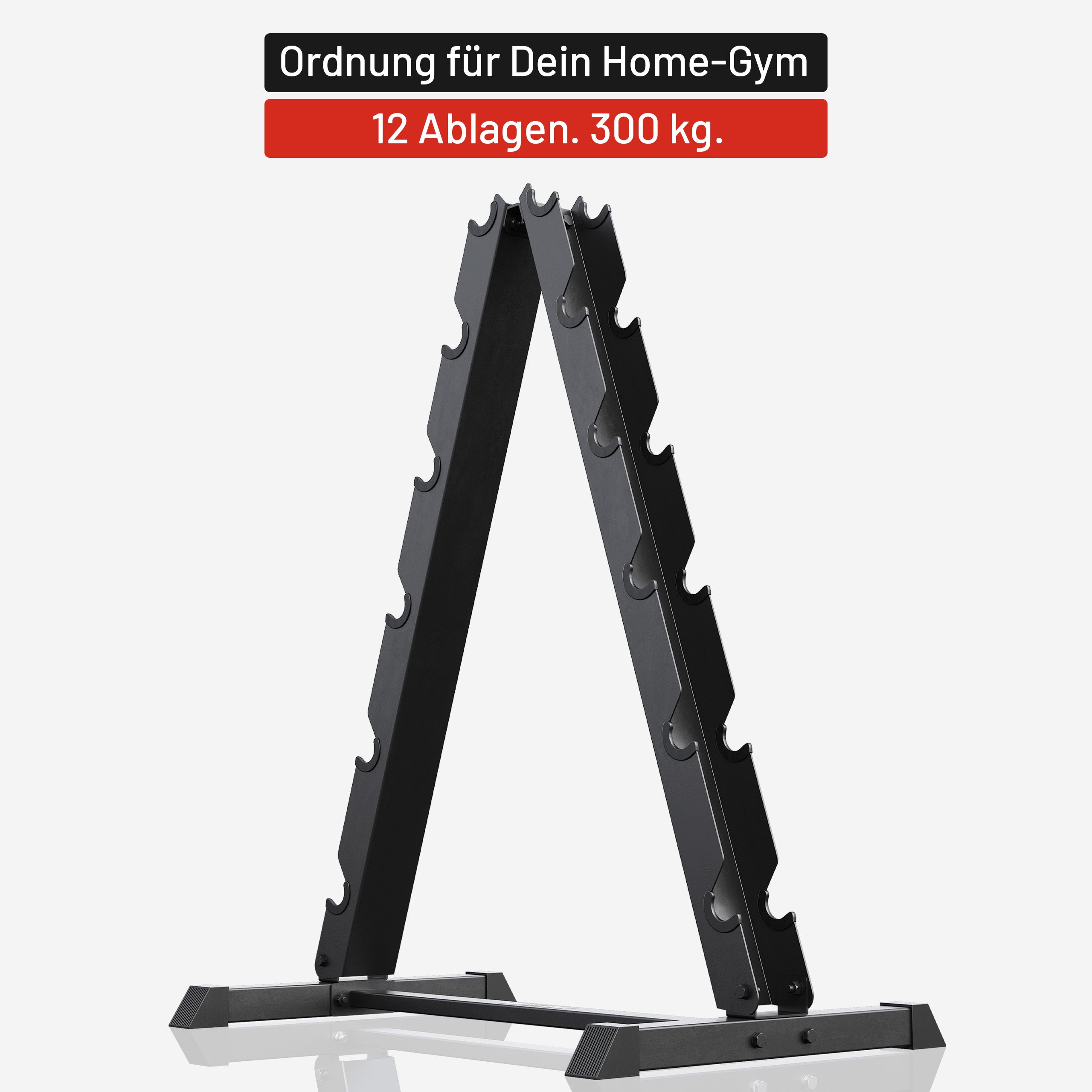 gyronetics-e-series-kurzhantelst-nder-schwarz-300-kg-12-ablagen image 3