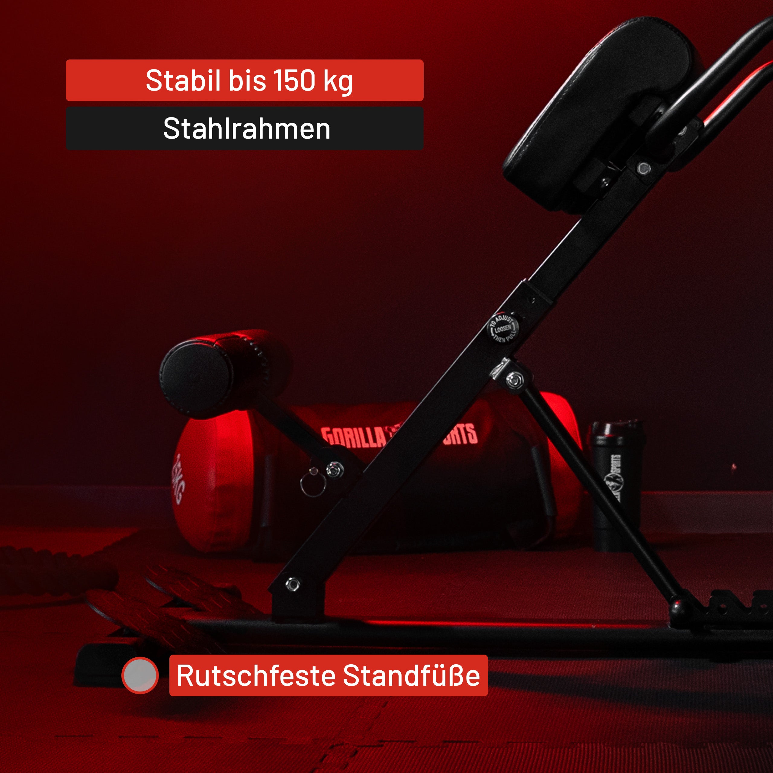 gyronetics-e-series-r-ckentrainer-klappbar-hyperextension-150-kg image 6