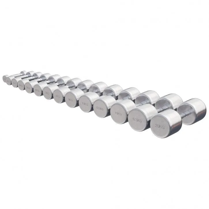 gyronetics-e-series-kurzhantel-chrom-2x1-kg-hantelset image 1