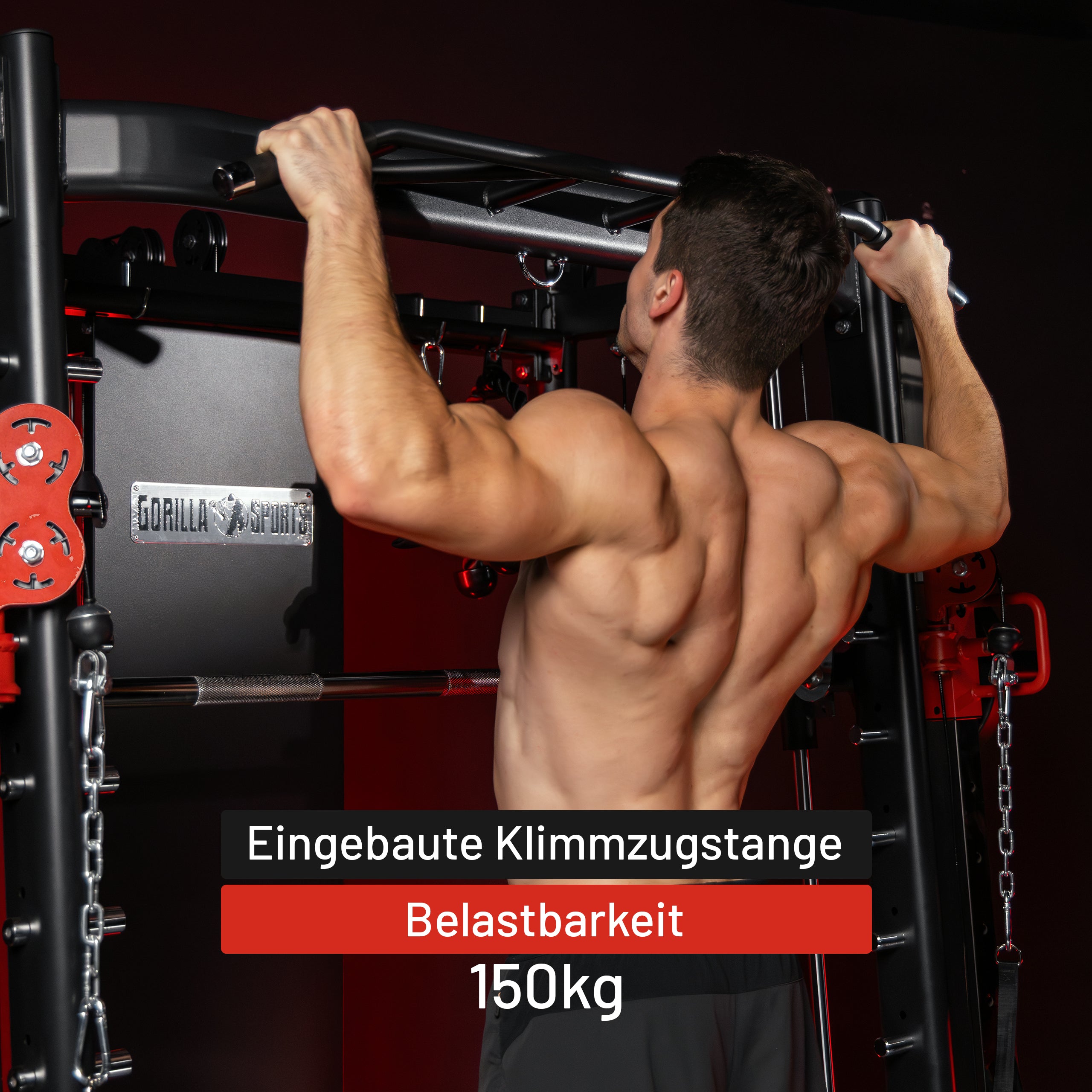 gyronetics-dip-station-smith-machine-kraftstation-mit-kabelzug image 4