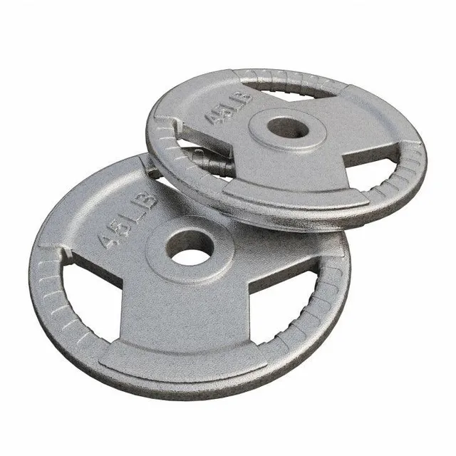 gyronetics-e-series-hantelscheibe-gusseisen-5-lb-silber image 1