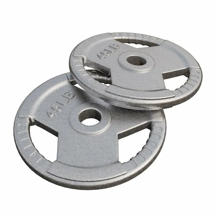 gyronetics-e-series-hantelscheibe-gusseisen-5-lb-silber image 1