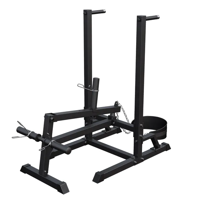 gyronetics-dip-station-mit-g-rtel-beladbar-200-kg image 1