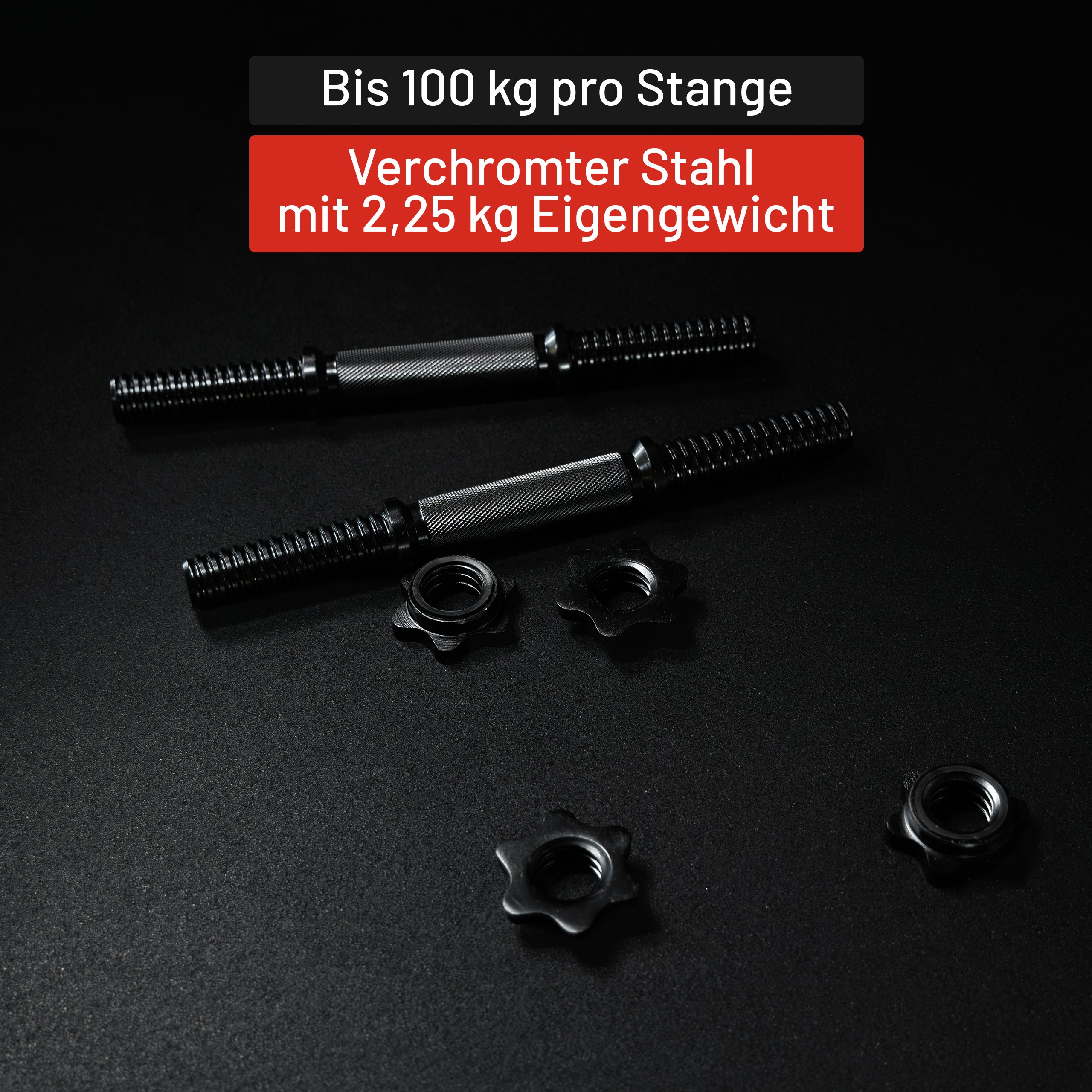gyronetics-e-series-kurzhantel-2er-set-35-cm-silber-sternverschluss image 4