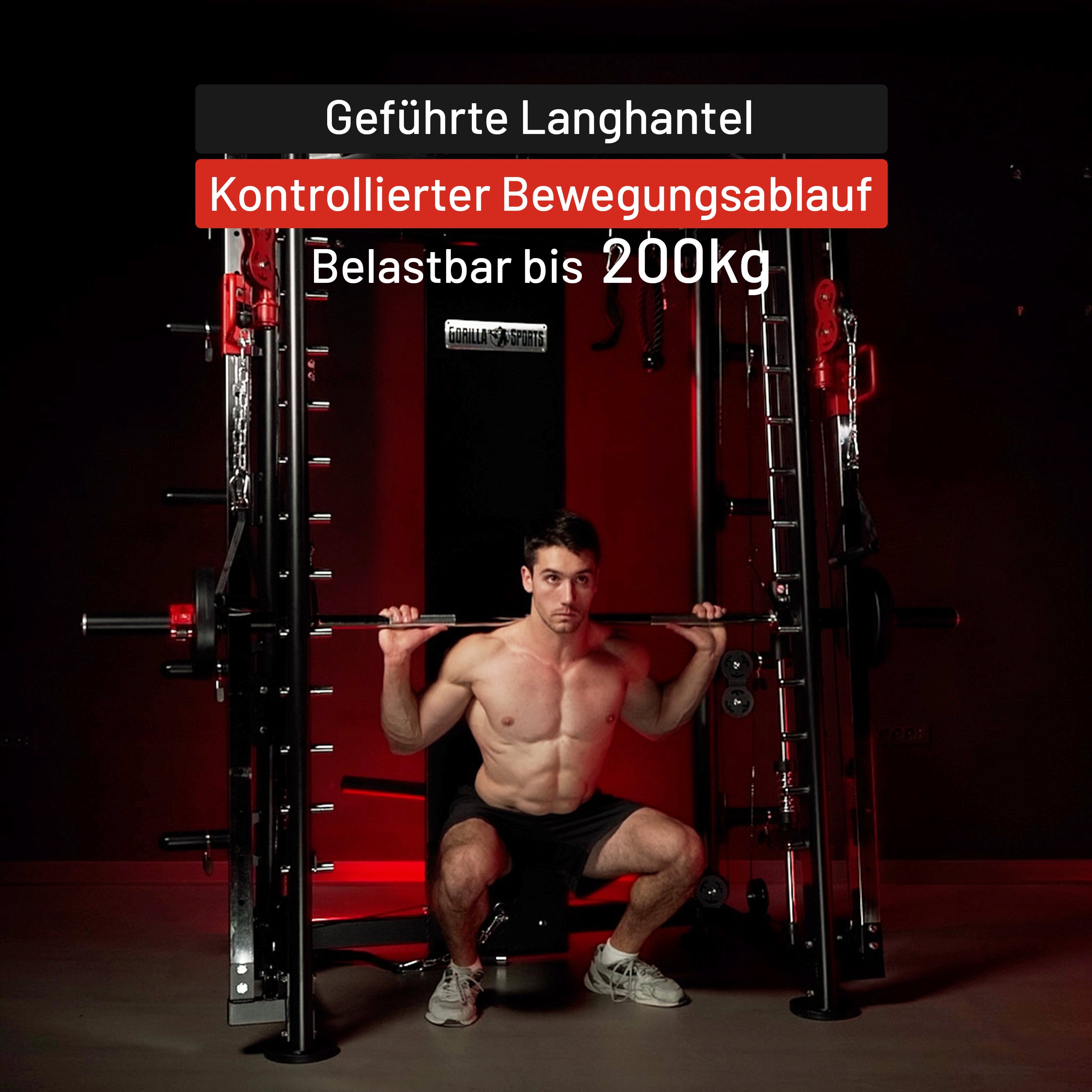 gyronetics-dip-station-smith-machine-kraftstation-mit-kabelzug image 3