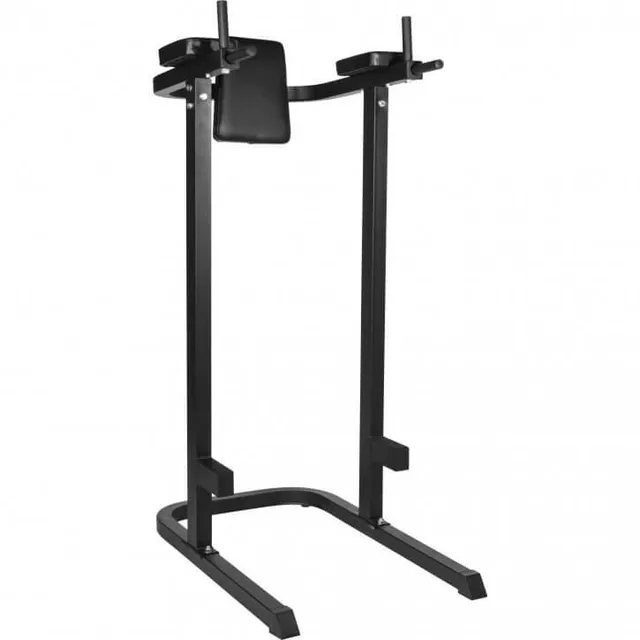 gyronetics-dip-station-mit-r-ckenpolster-multifunction-120-kg image 1