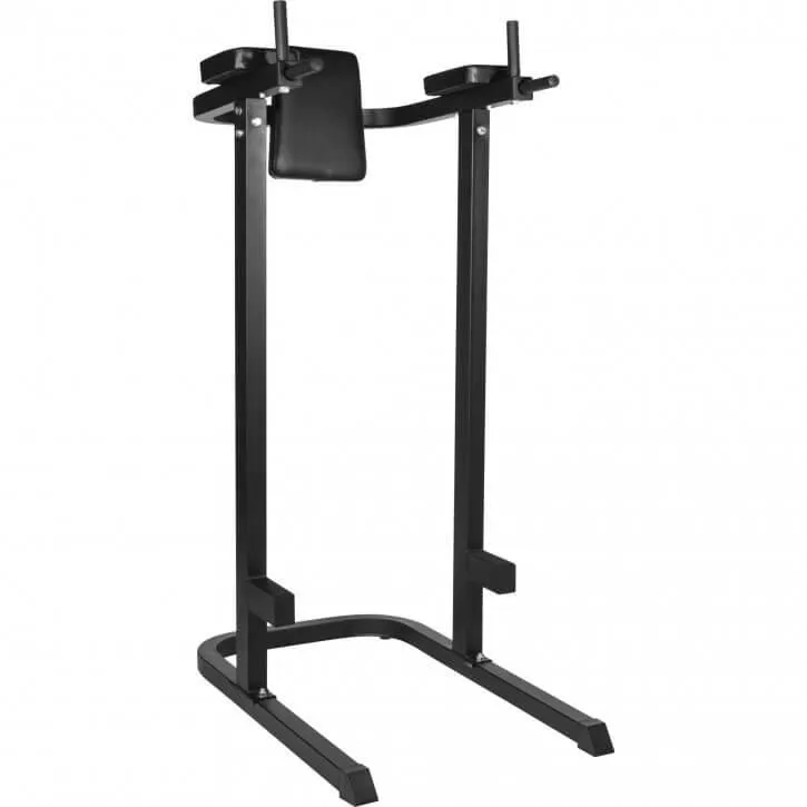 gyronetics-dip-station-mit-r-ckenpolster-multifunction-120-kg image 1
