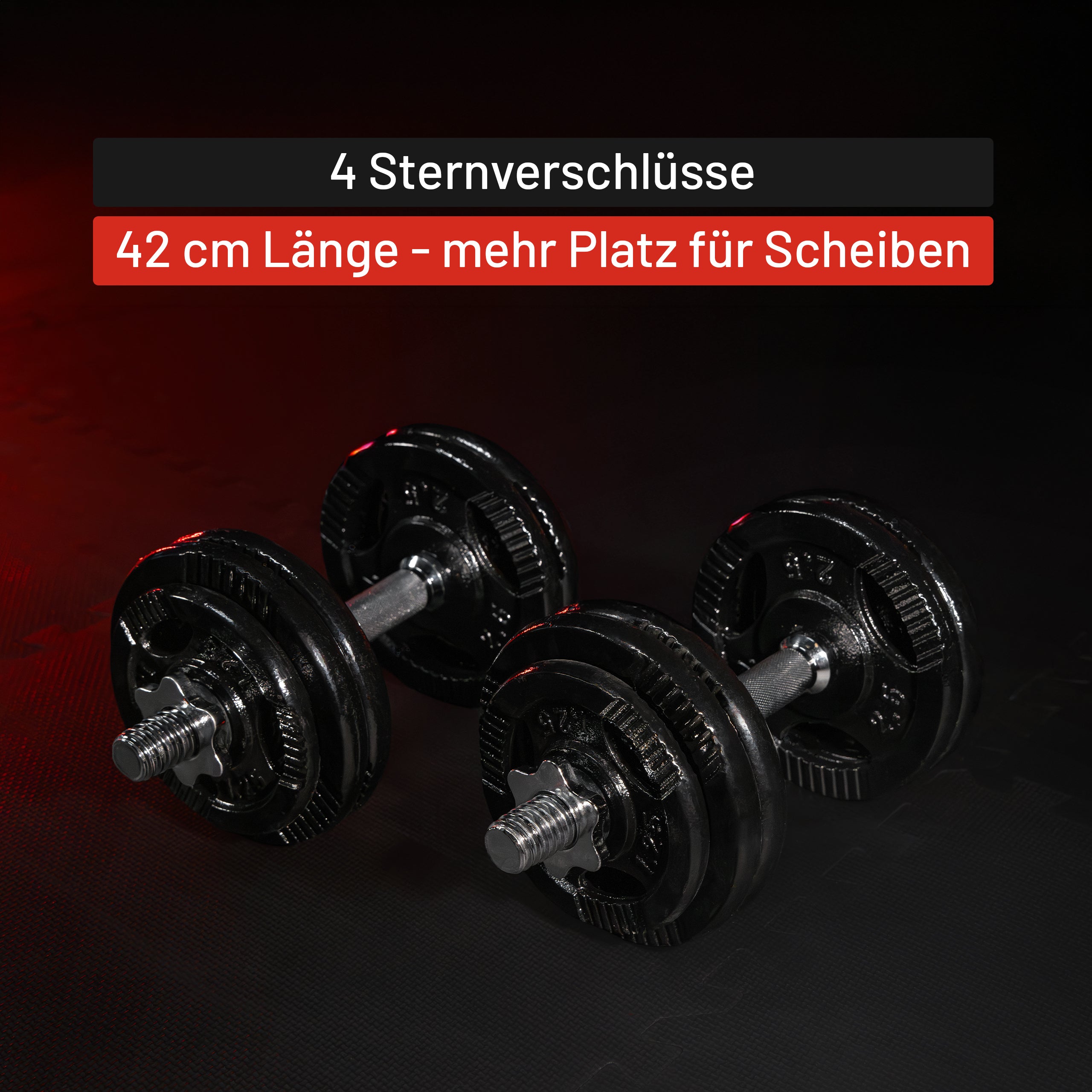 gyronetics-e-series-kurzhantel-2er-set-42-cm-sternverschluss image 6