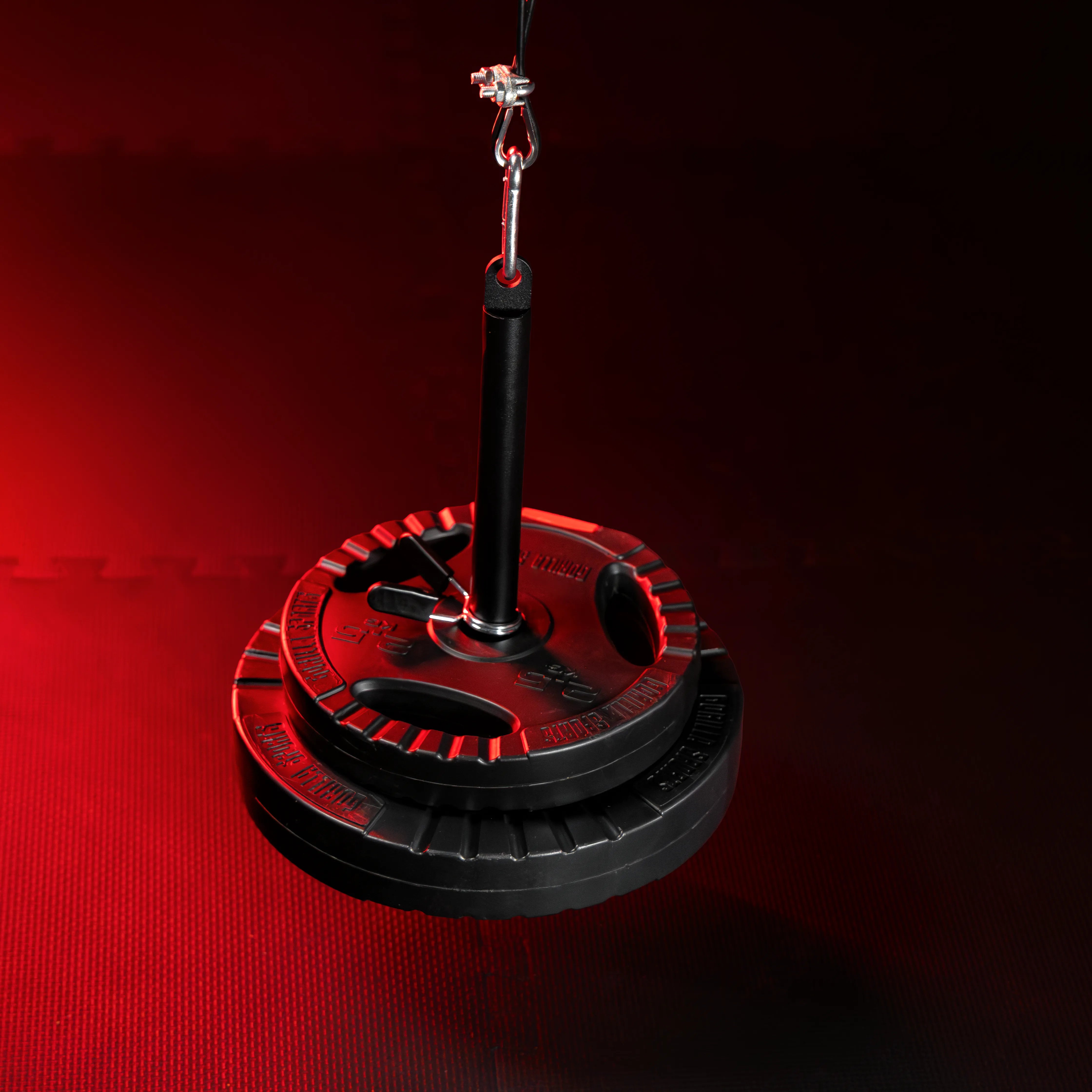 gyronetics-e-series-kabelzug-seilzug-mit-trizepsseil-150-kg image 6