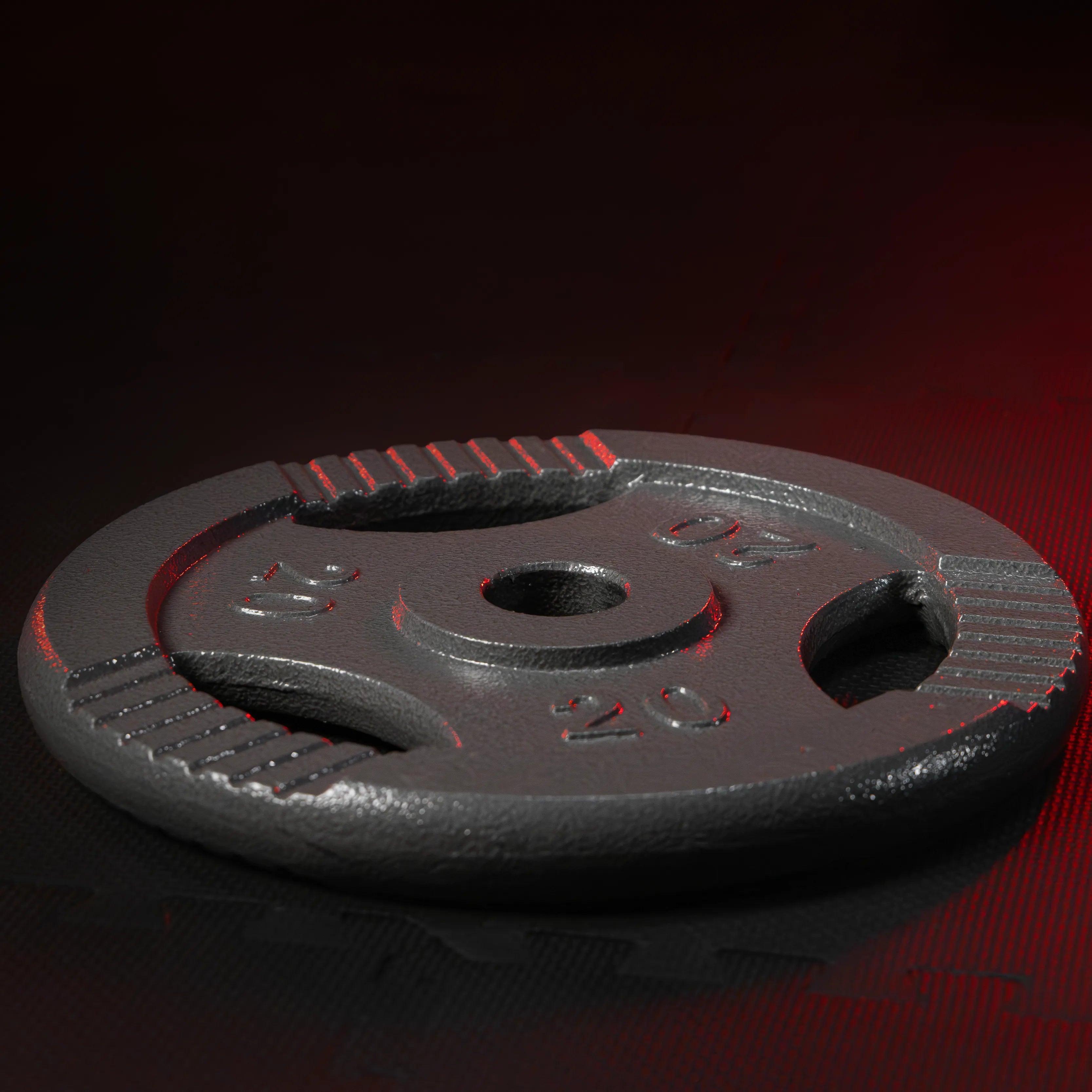 gyronetics-e-series-hantelscheibe-gusseisen-gripper-10-kg-30mm image 4