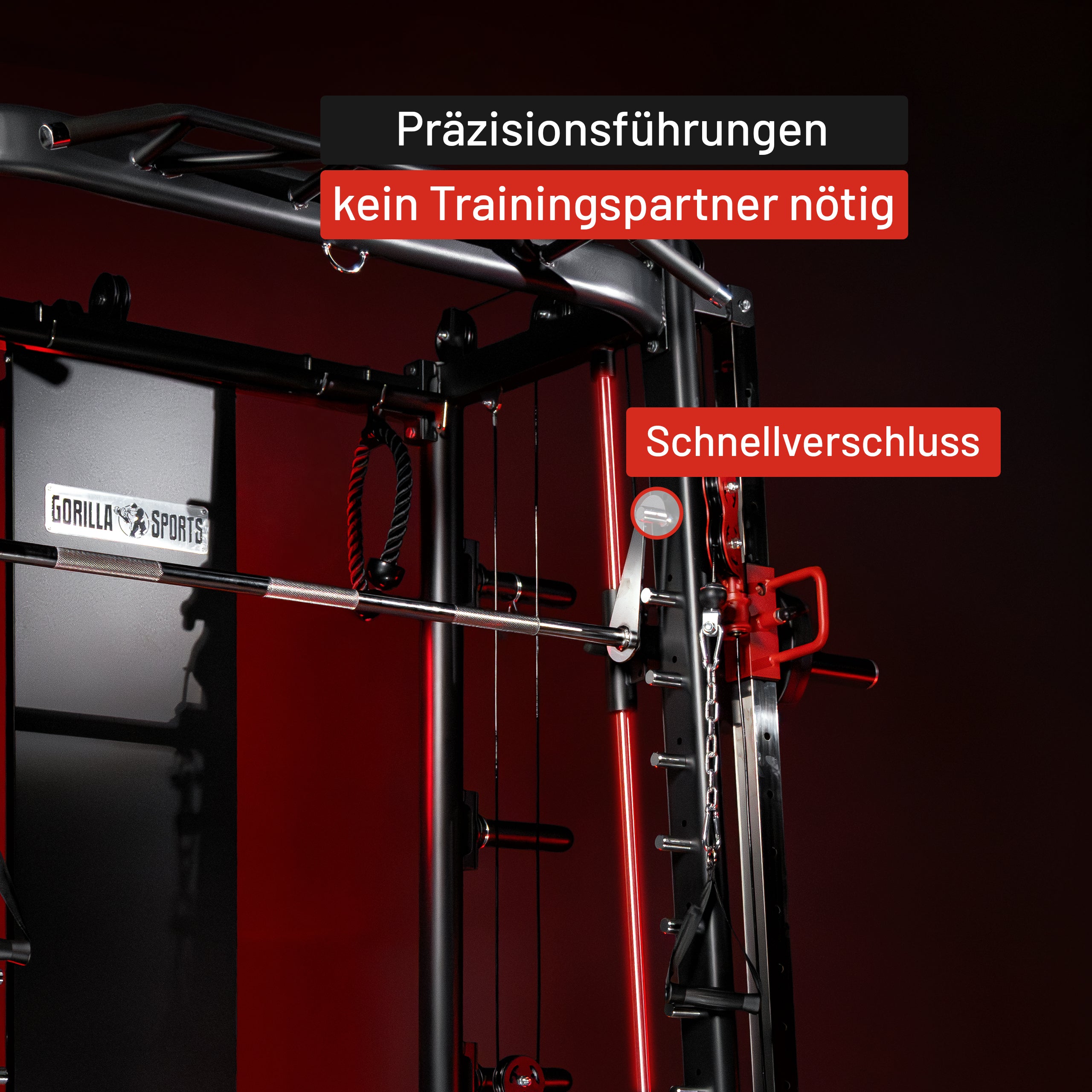 gyronetics-dip-station-smith-machine-kraftstation-mit-kabelzug image 7