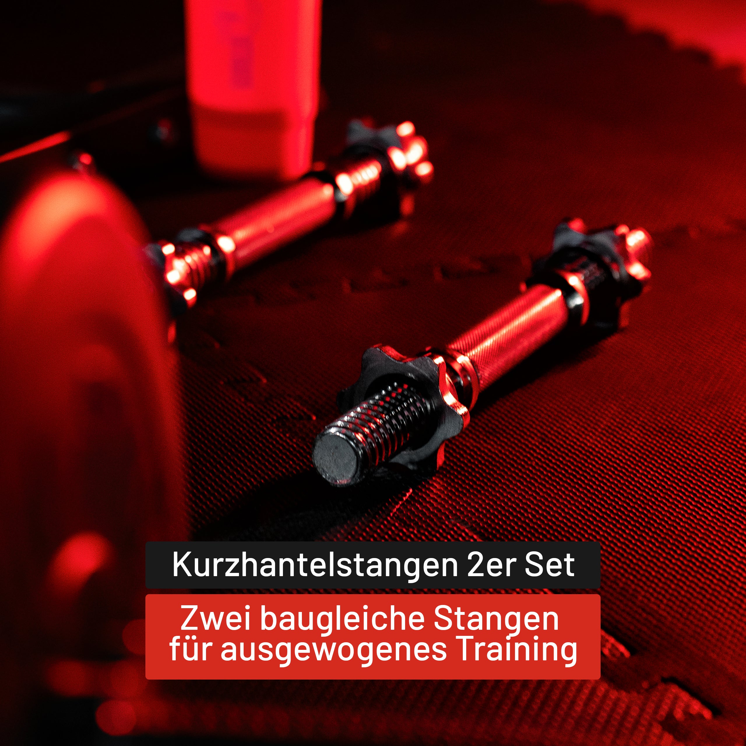 gyronetics-e-series-kurzhantel-2er-set-35-cm-silber-sternverschluss image 5