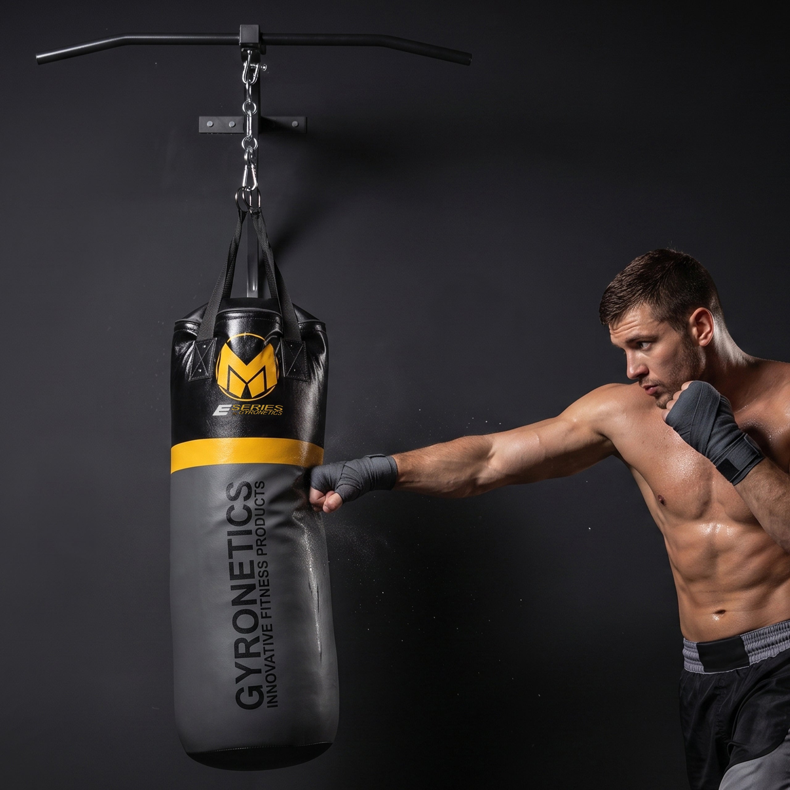 gyronetics-e-series-boxsack-80cm-klimmzugstange-120kg image 2