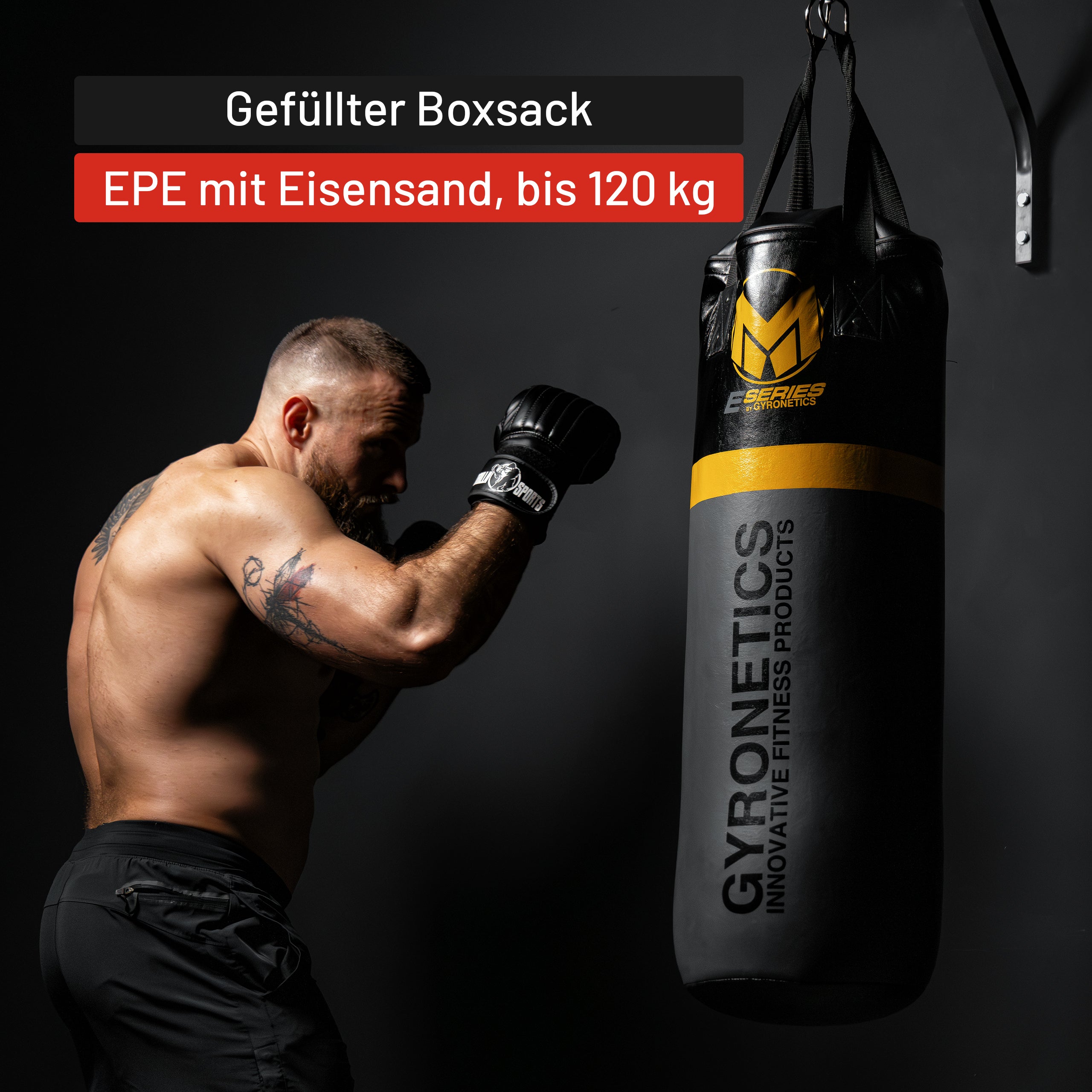 gyronetics-e-series-boxsack-80cm-klimmzugstange-120kg image 6