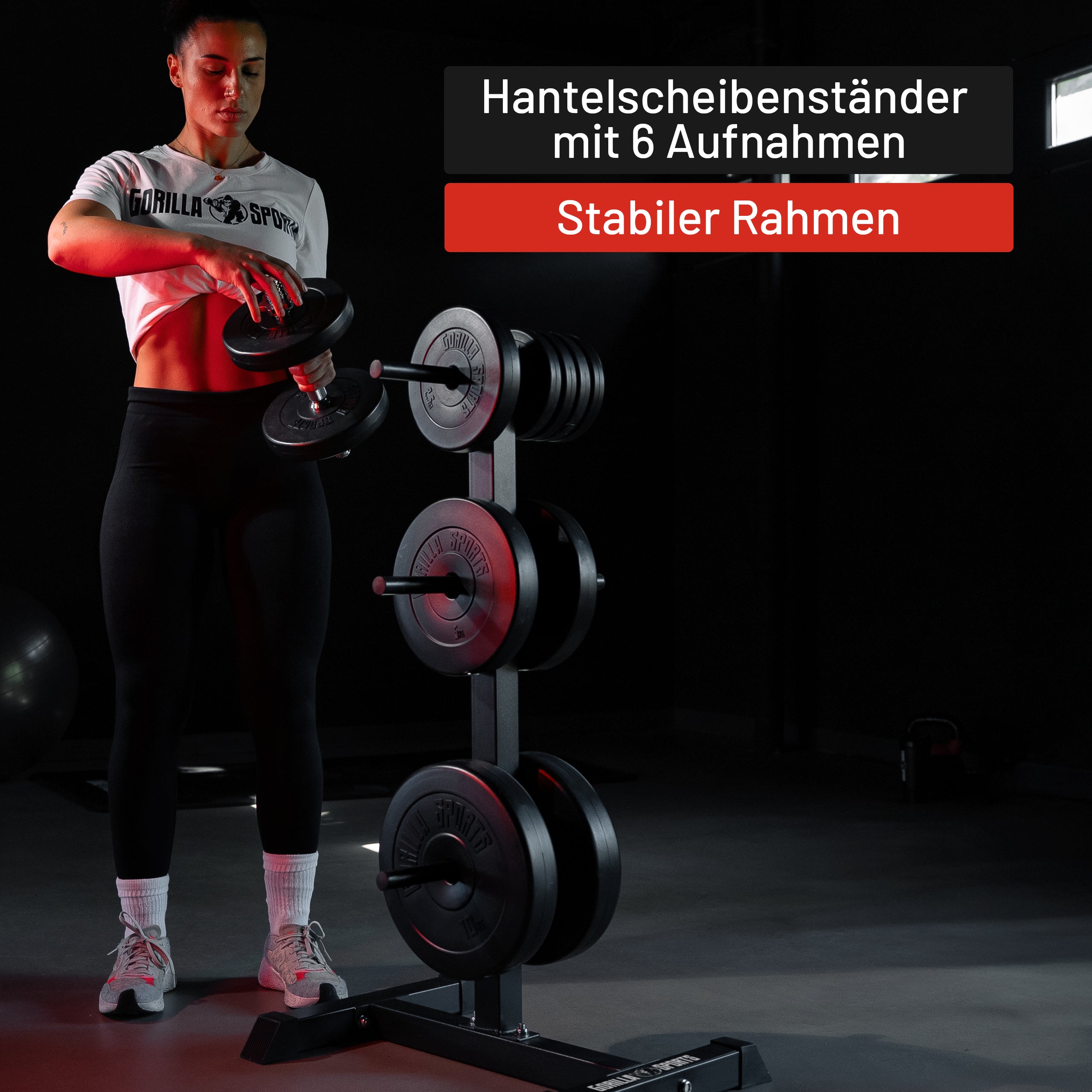 gyronetics-e-series-hantelscheibenst-nder-schwarz-200-kg image 8