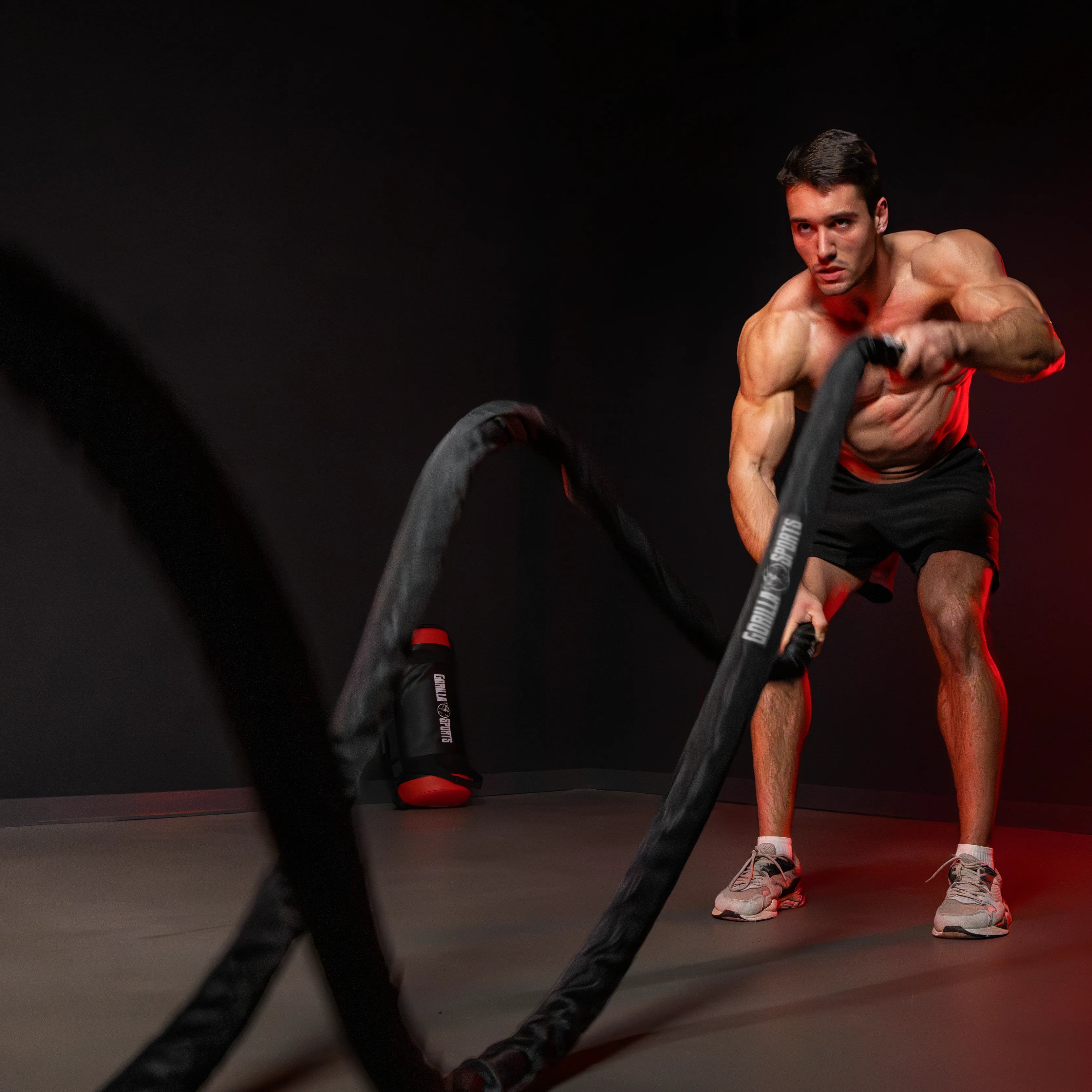 gyronetics-e-series-battle-rope-12-m-nylon-schwarz image 2