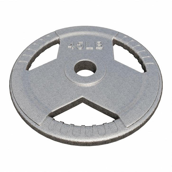 gyronetics-e-series-hantelscheibe-gusseisen-5-lb-silber image 3
