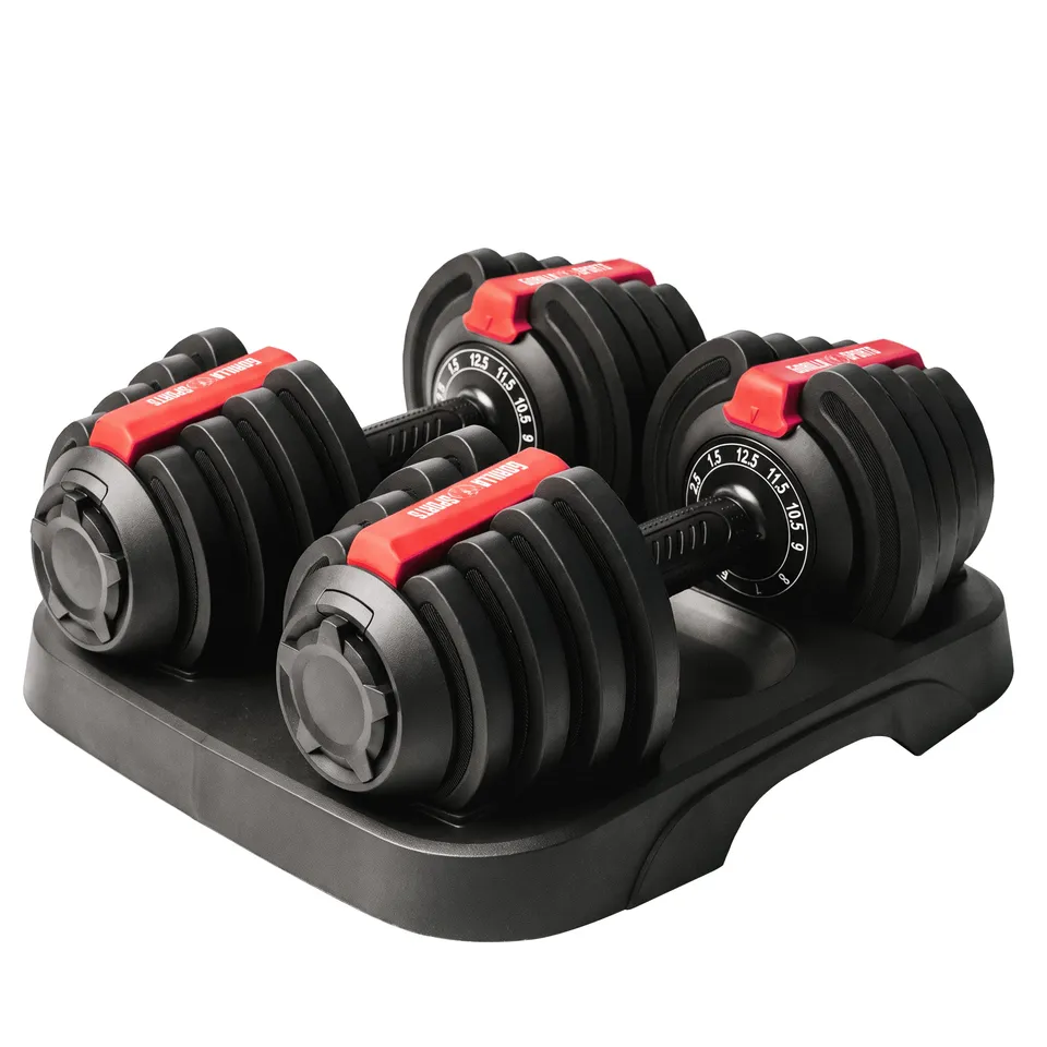 gyronetics-e-series-hanteln-verstellbar-2x12-5-kg-25-kg-set image 1