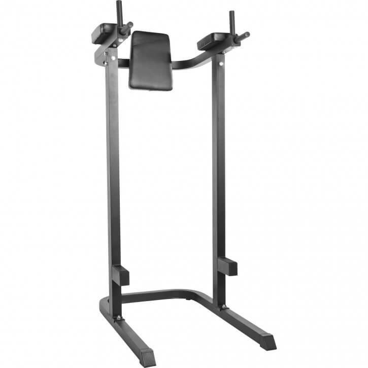 gyronetics-dip-station-mit-r-ckenpolster-multifunction-120-kg image 6