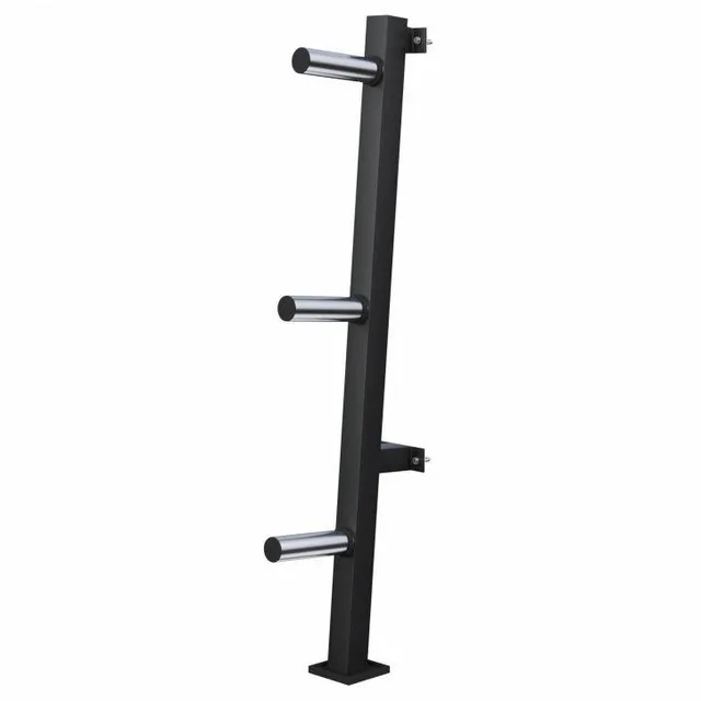 gyronetics-e-series-hantelscheibenst-nder-wand-3-ablagen-300-kg image 1