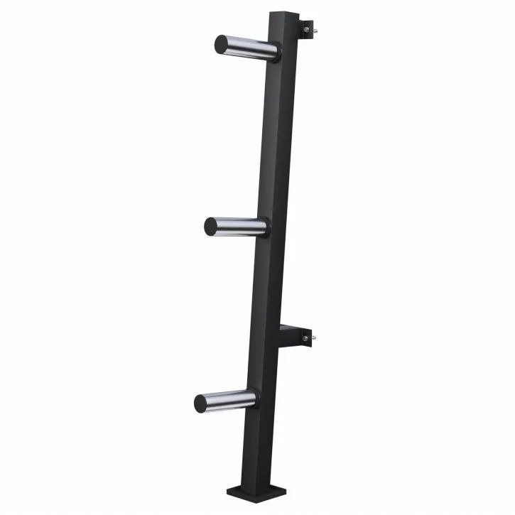 gyronetics-e-series-hantelscheibenst-nder-wand-3-ablagen-300-kg image 1