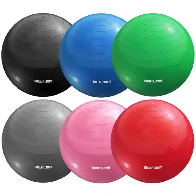gyronetics-e-series-gymnastikball-65-cm-blau-mit-luftpumpe image 1