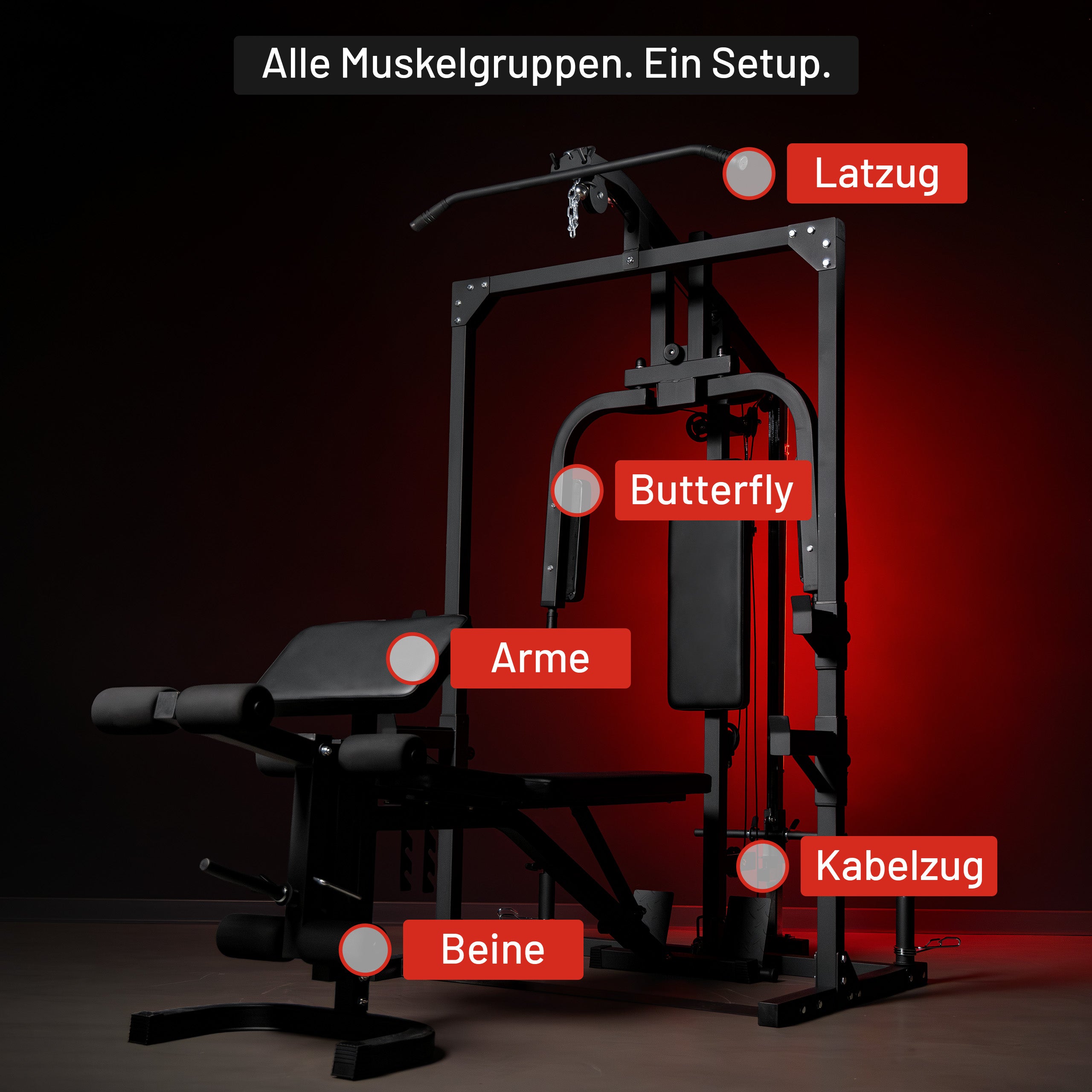 gyronetics-e-series-kraftstation-home-gym-fitnessstation-hantelbank image 7