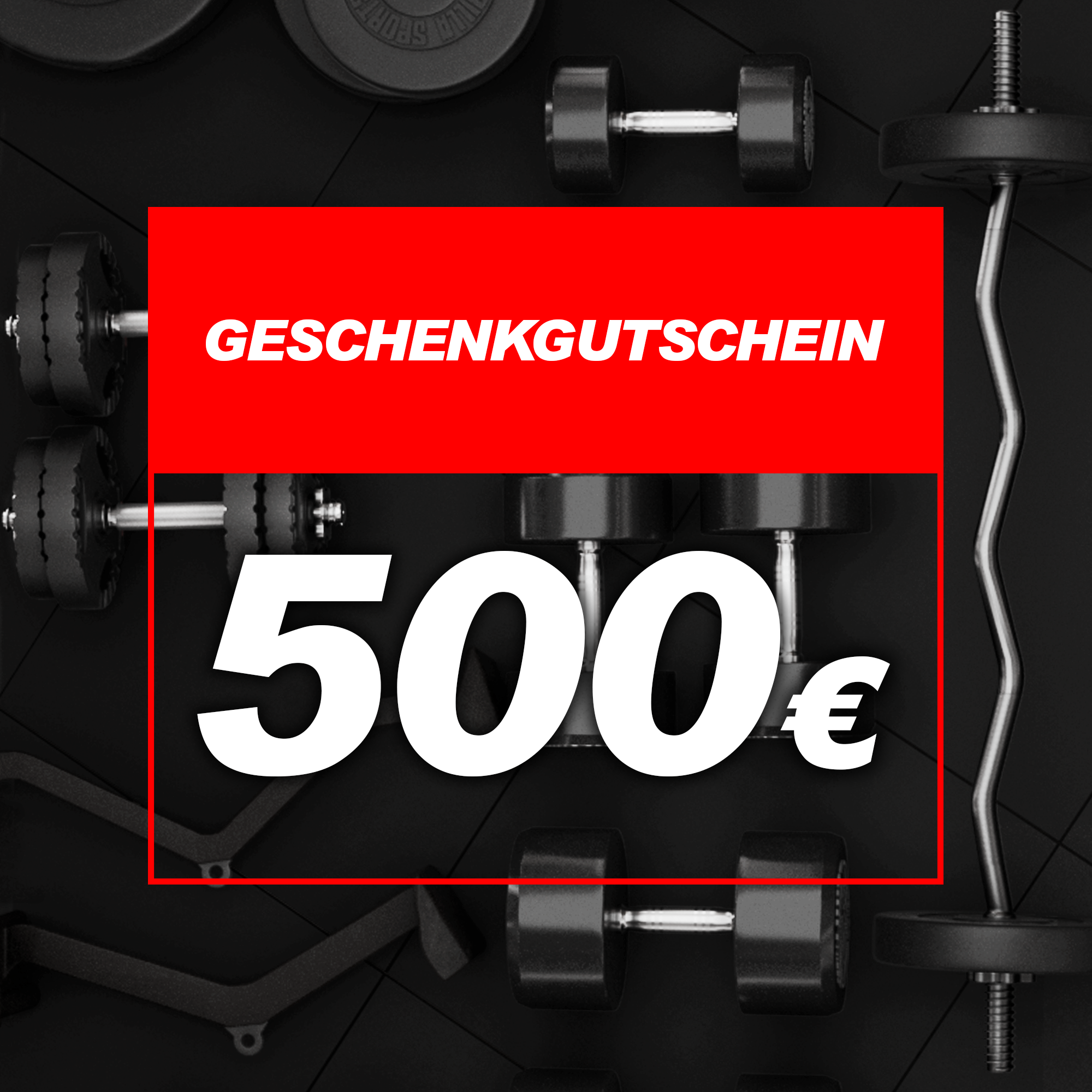 gyronetics-e-series-geschenkgutschein-10-euro-pdf image 7