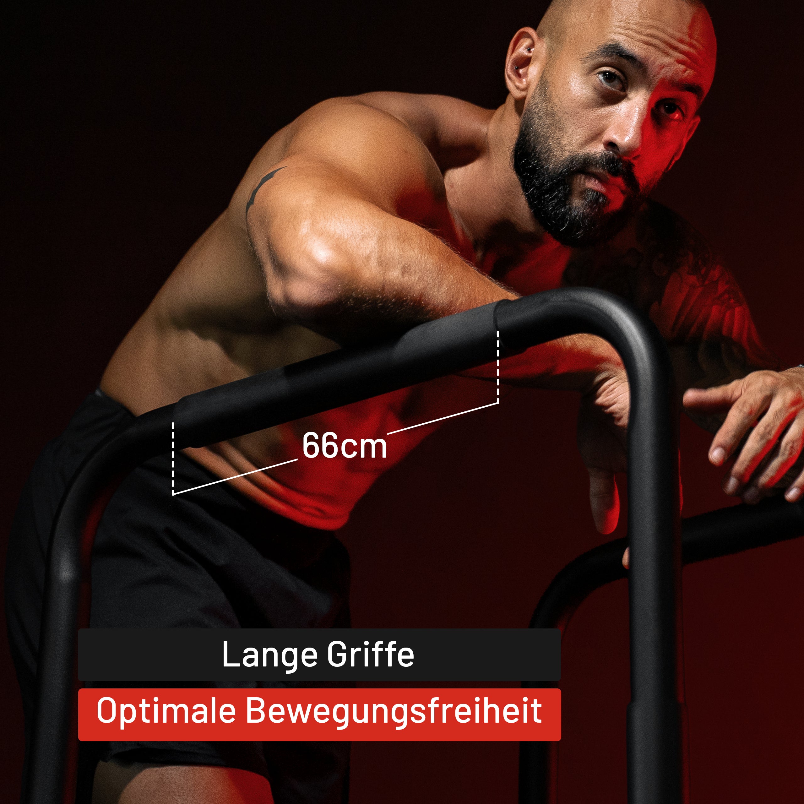 gyronetics-dip-station-push-up-barren-schwarz-200-kg image 8